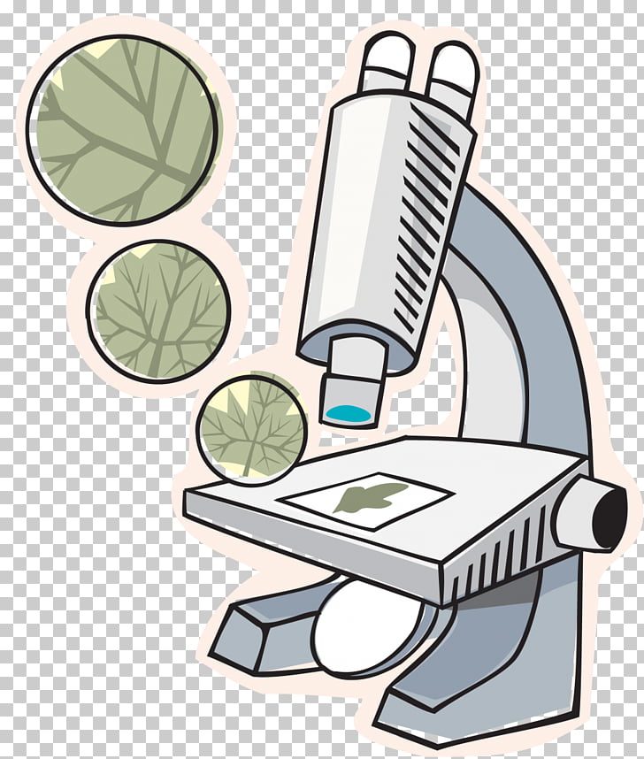 Perfume Bottle No Background - HD Wallpaper 