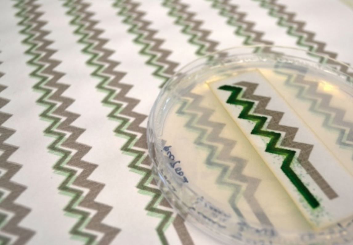 Solar Panel Printable Wallpaper Print Battery - Cyanobacteria Solar Energy - HD Wallpaper 