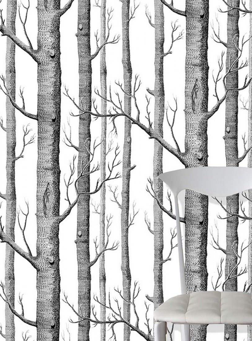 Black And White Birch Tree - HD Wallpaper 