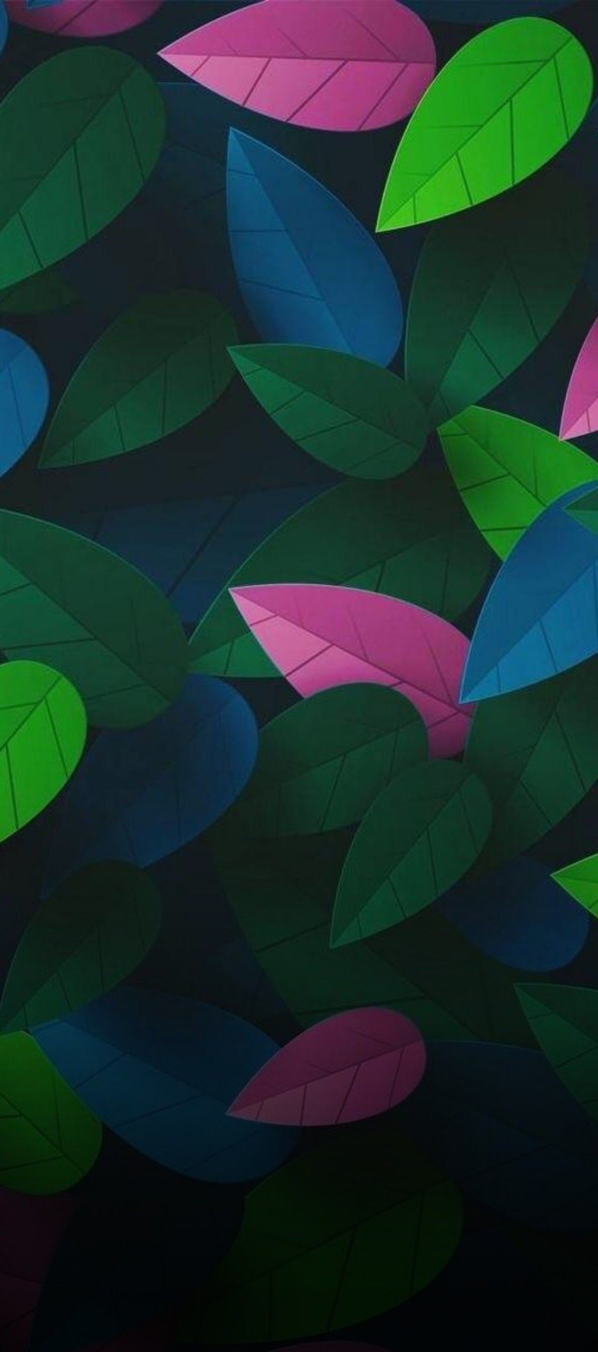 Floral, Leaves, Black, Pink, Green, Wallpaper, Clean, - Black And Green Pink - HD Wallpaper 