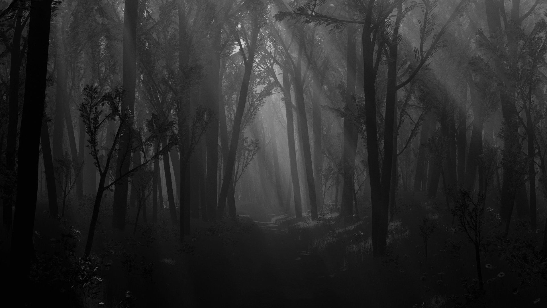 Scary Forest Maze - HD Wallpaper 