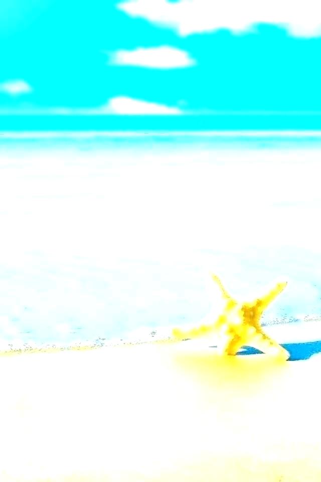 Beach Themed Wallpaper Border Beach Wallpaper Border Sea 640x960