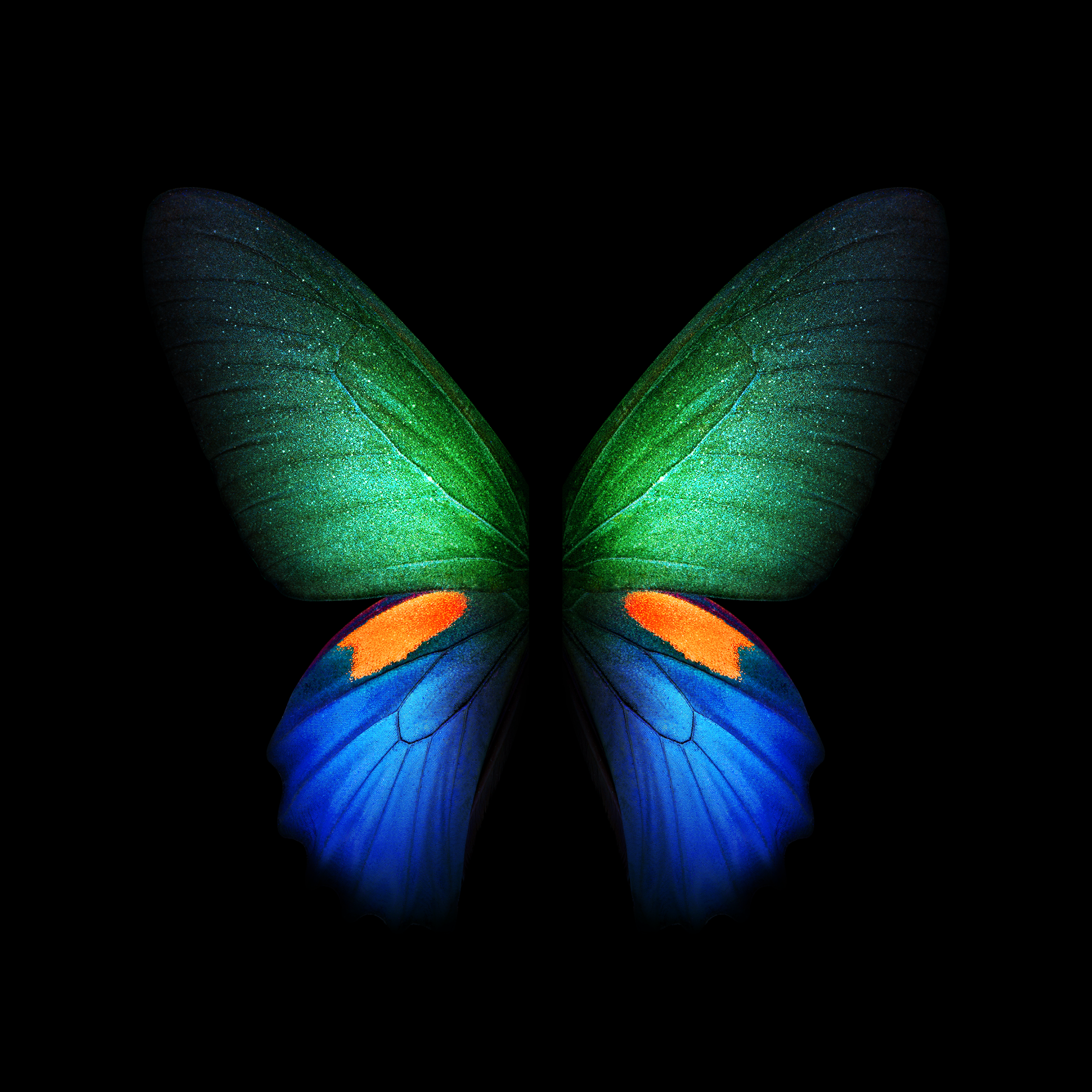 Samsung Galaxy Fold Wallpaper Hd Download 2152x2152 Wallpaper Teahub Io