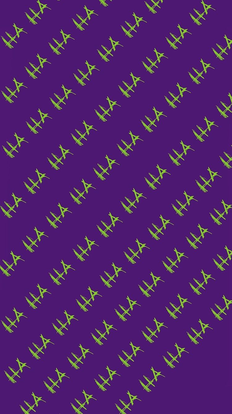 Lilac - HD Wallpaper 