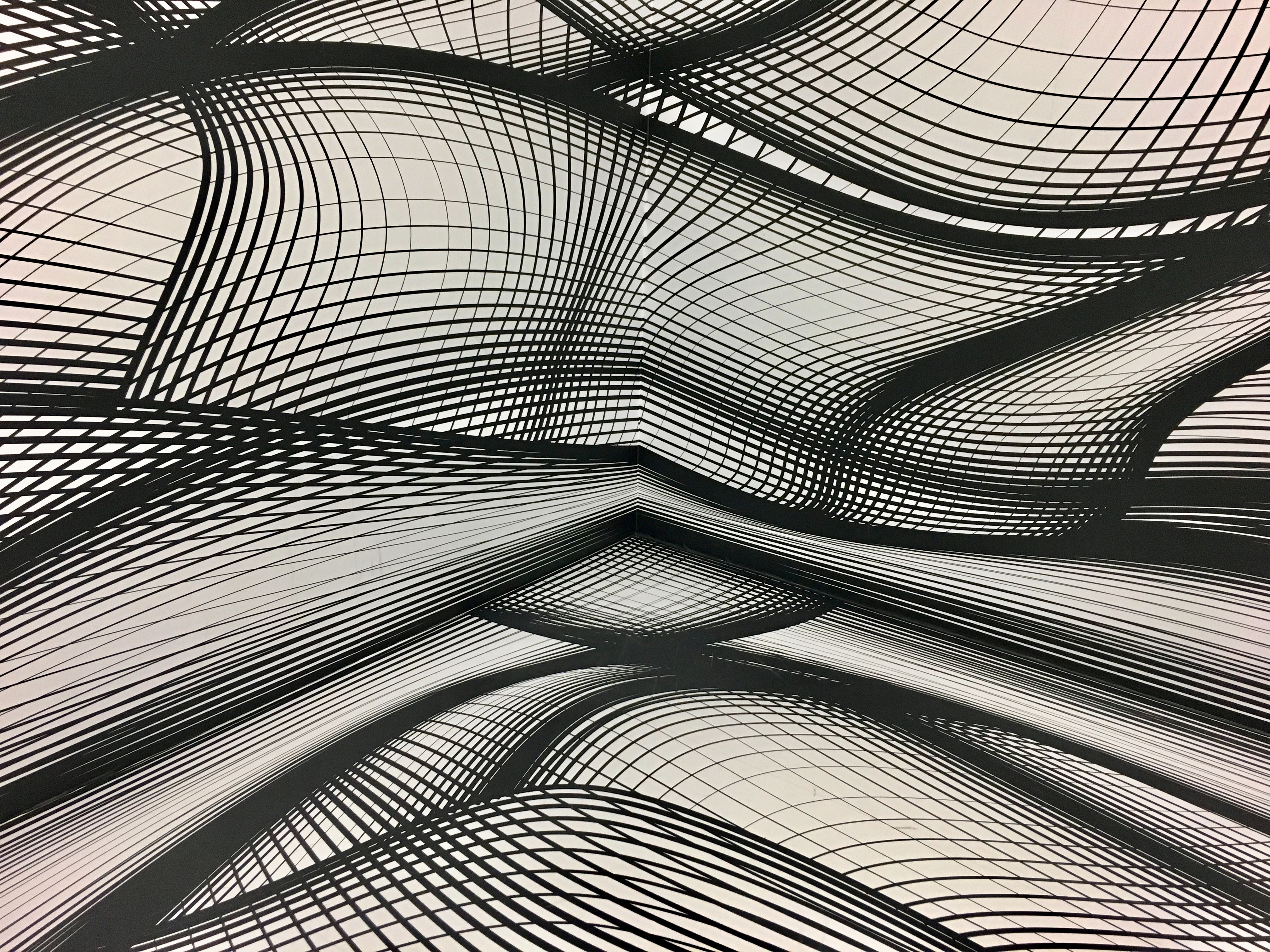 Graphic Line Art - HD Wallpaper 
