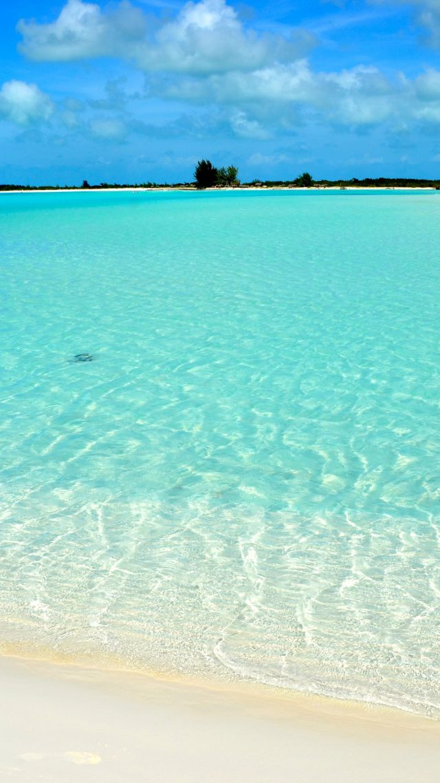 Playa Paraiso, Cayo Largo, Cuba, Best Beaches Of 2016, - Sea - HD Wallpaper 