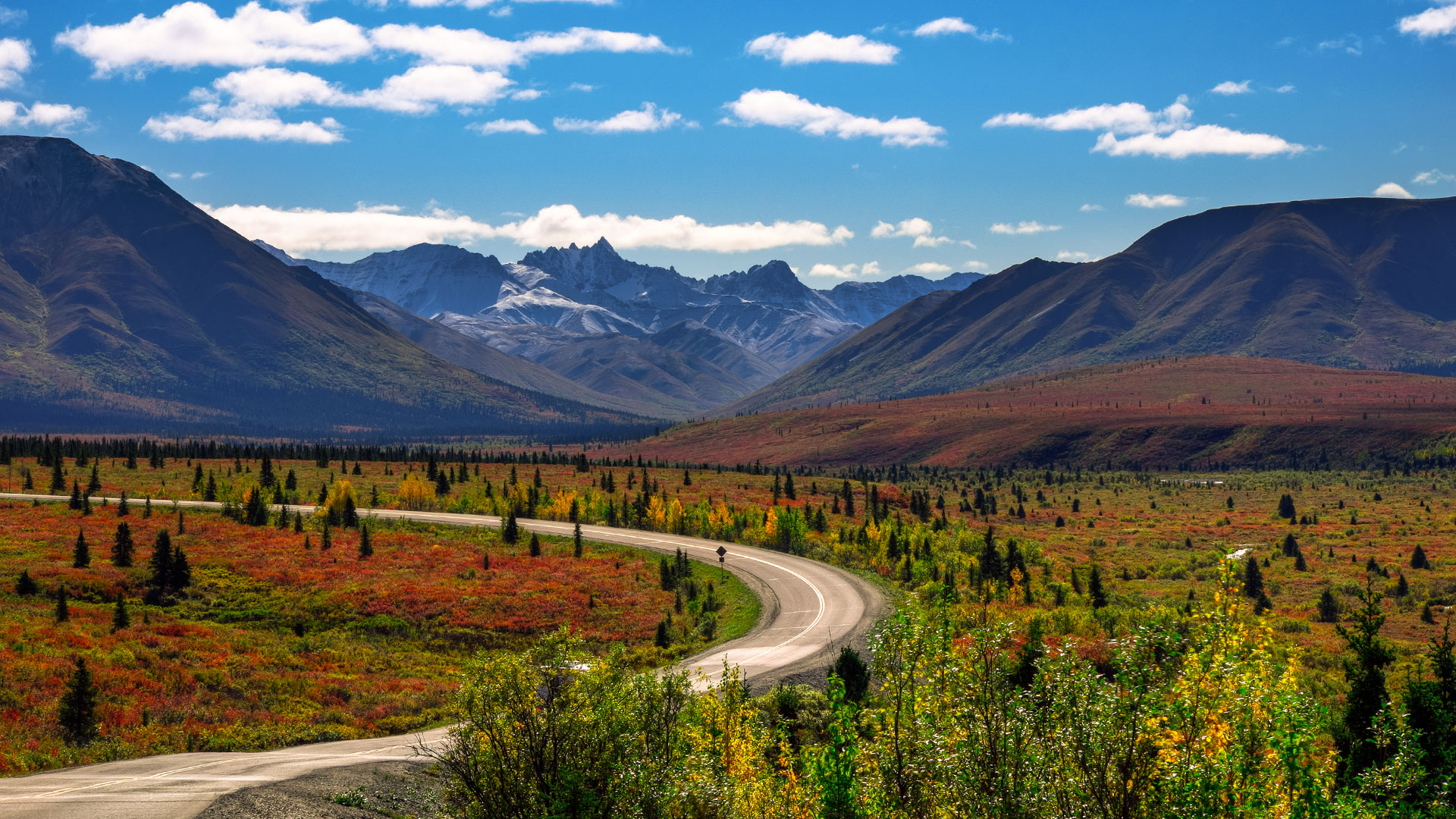 Denali National Park And Preserve - HD Wallpaper 