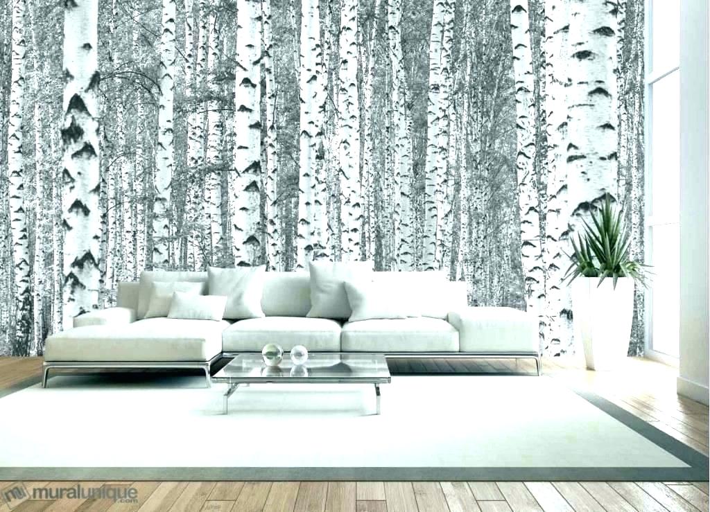 White Birch Wallpaper White Birch Tree Wallpaper Forest - Birch Tree Mural - HD Wallpaper 