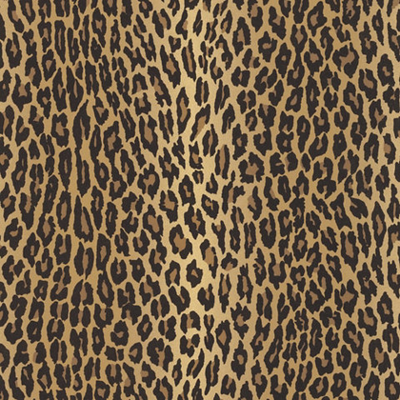 Ralph Aragon - HD Wallpaper 