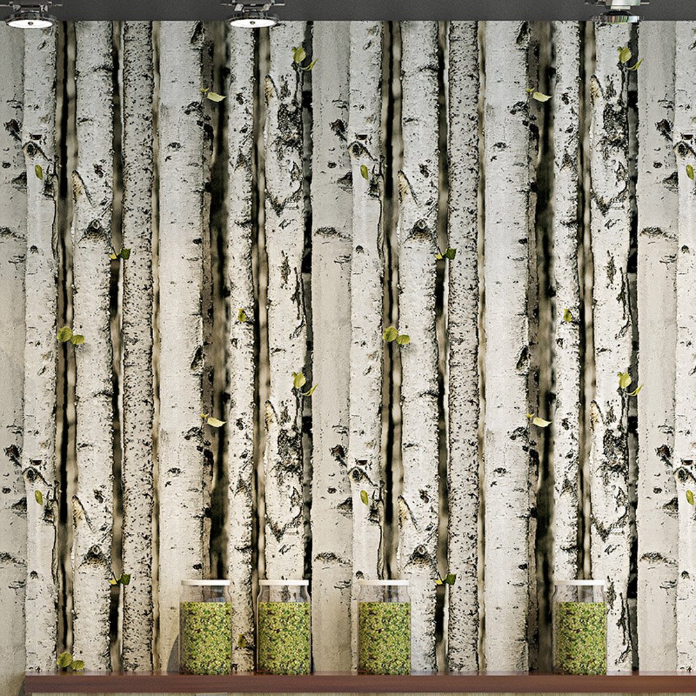 Birch Forest - HD Wallpaper 