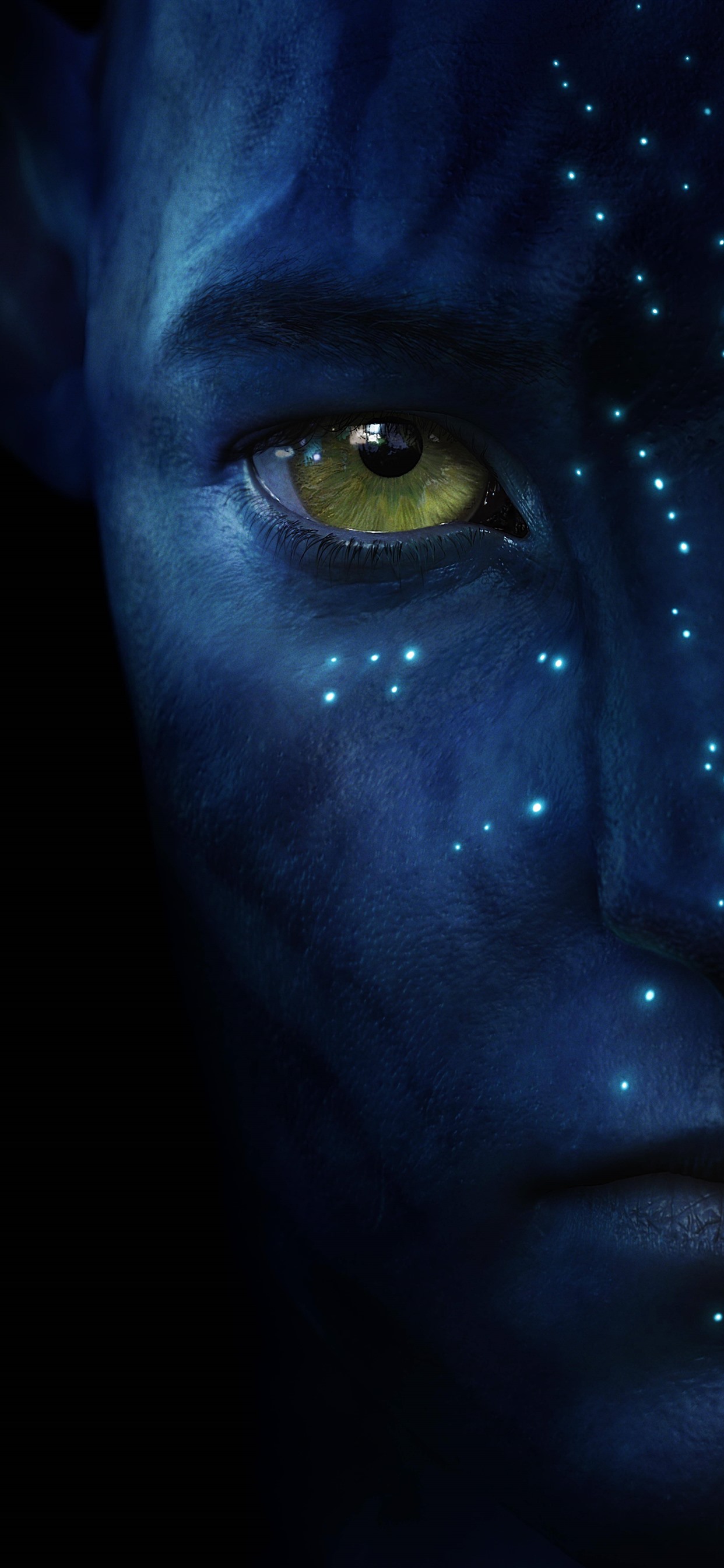 Iphone Wallpaper Avatar, Classic Movie - Avatar - 1242x2688 Wallpaper - Iphone Wallpaper Avatar, Classic Movie - Avatar - 1242x2688 Wallpaper -