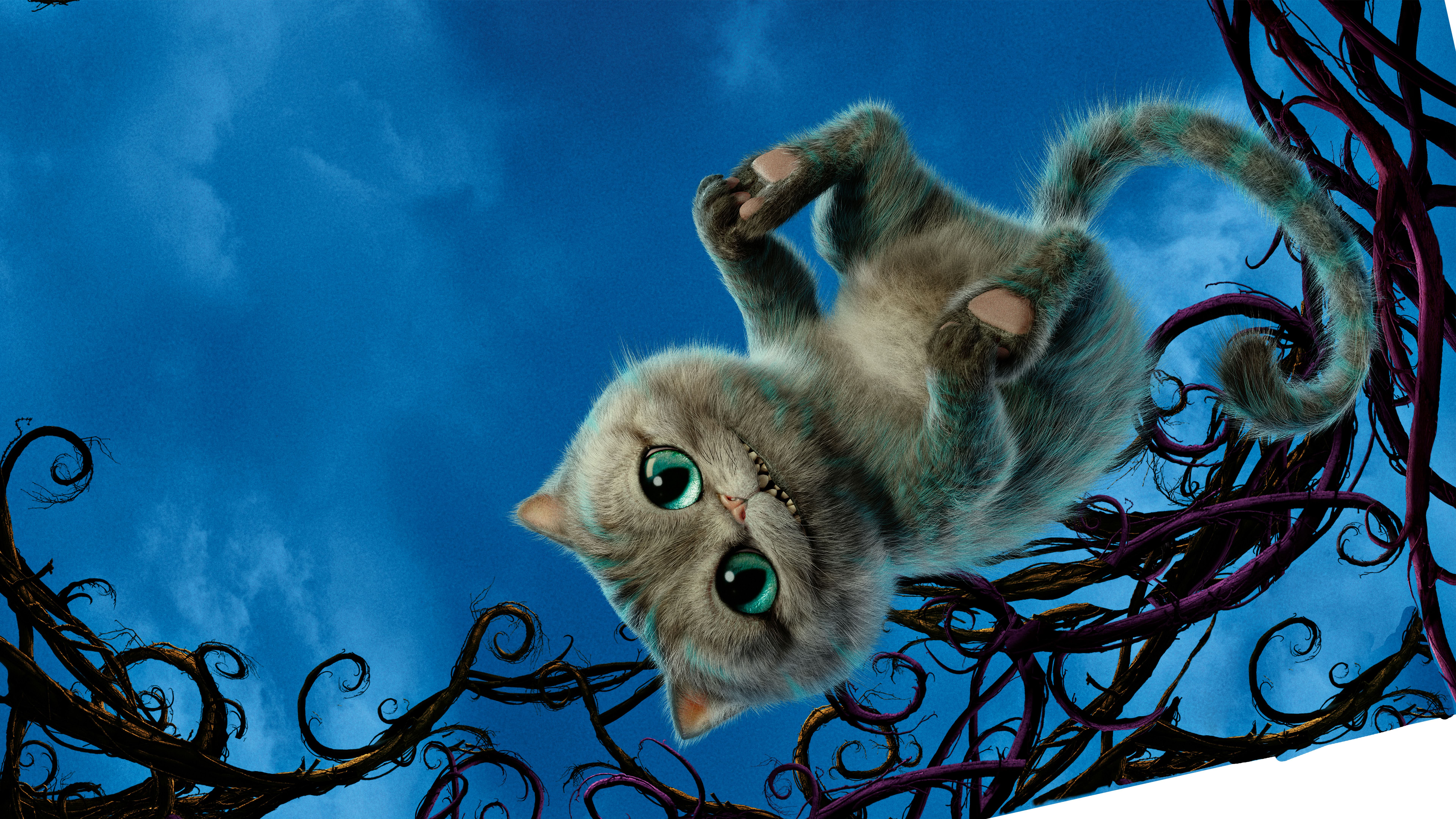 Cheshire Cat Alice Through The Looking Glass 8k Wallpaper - Alice In Wonderland Cheshire Cat Baby - HD Wallpaper 