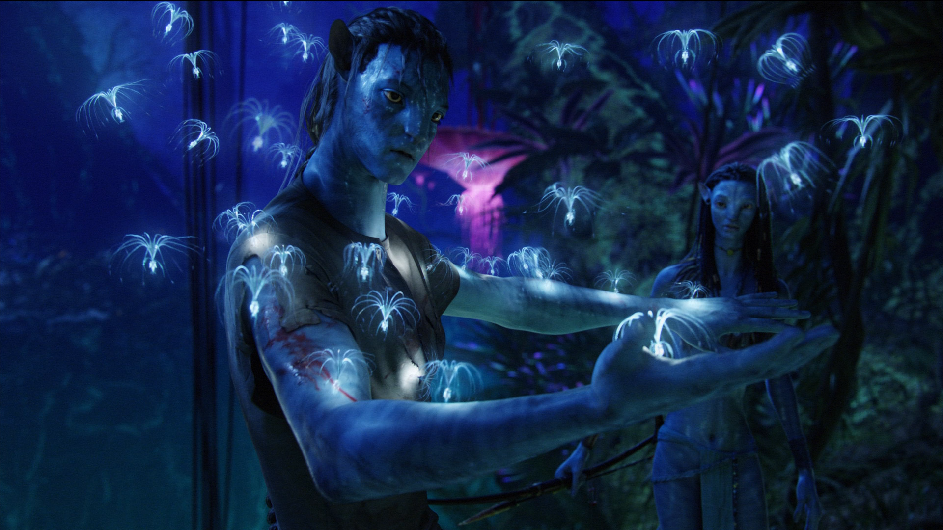 Avatar Background - HD Wallpaper 