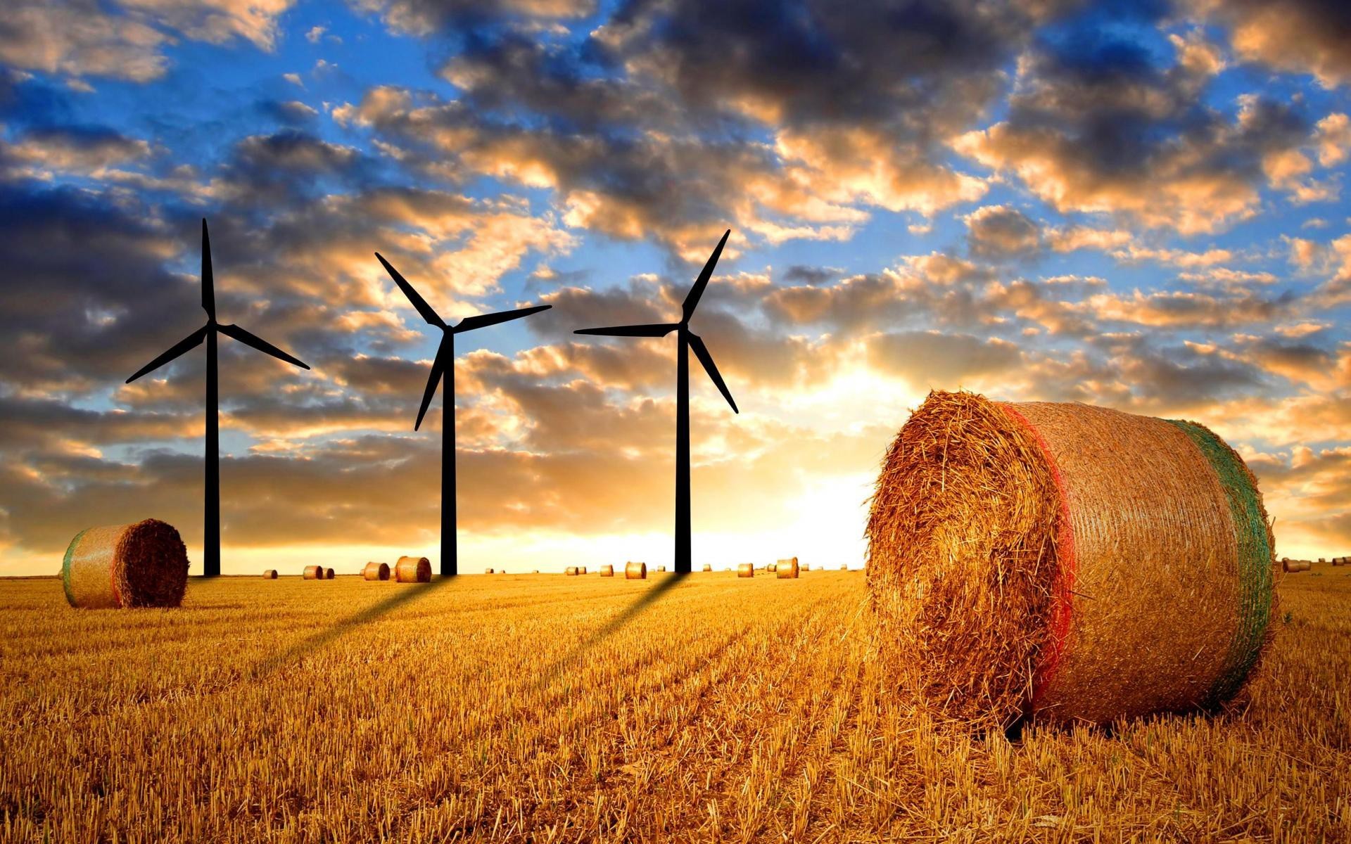 1920x1200, Light Wind Farm Field Hd Wallpaper 
 Data - Farm Wallpaper Hd - HD Wallpaper 