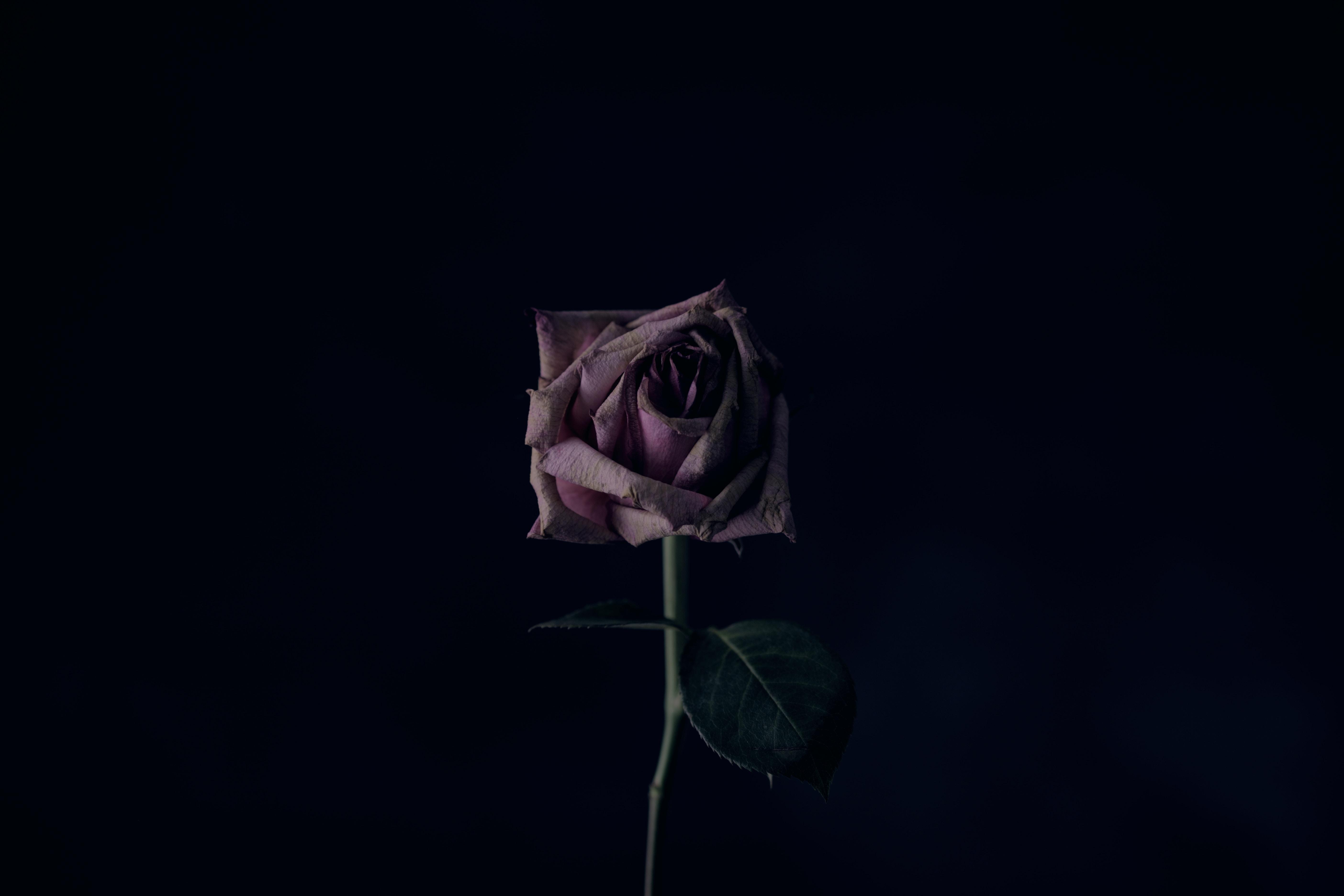 Wallpaper - Light - HD Wallpaper 
