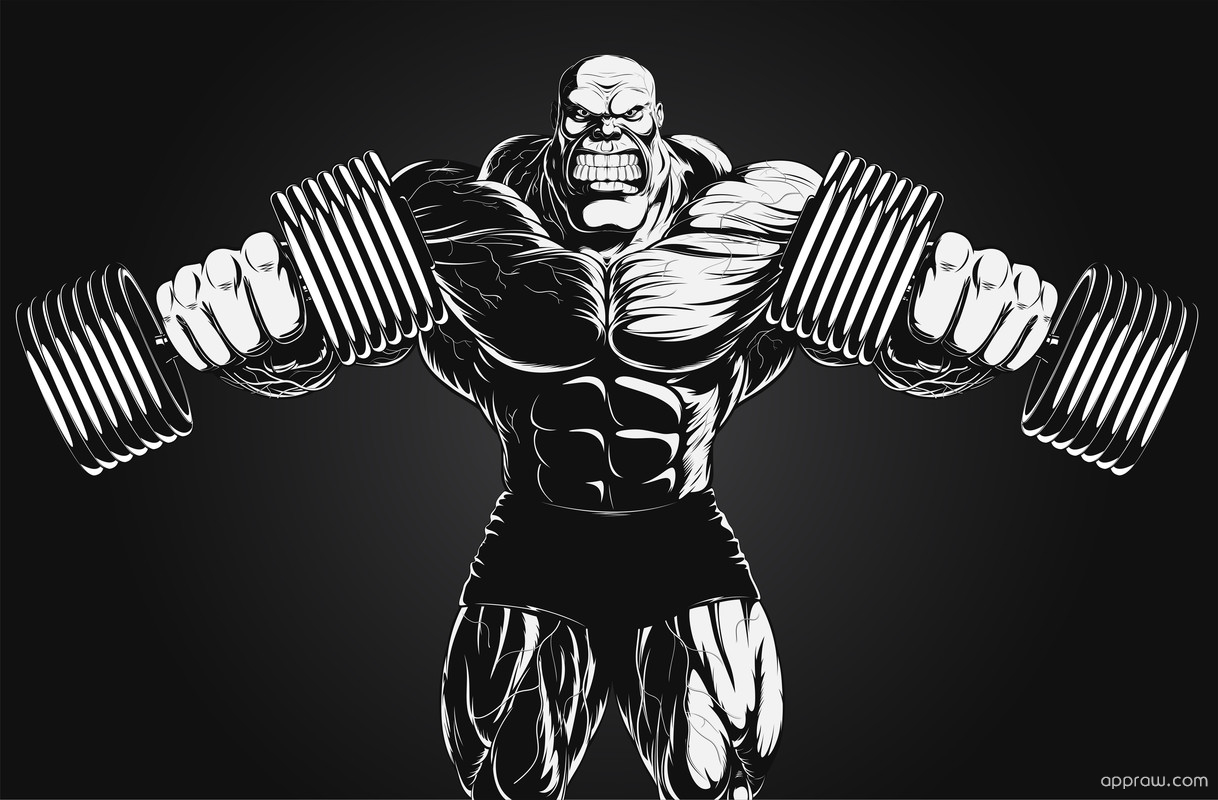 Bodybuilding Hd - HD Wallpaper 