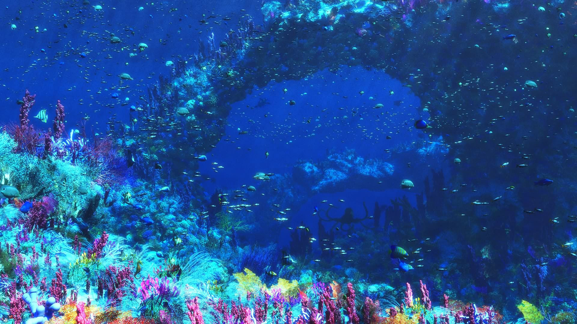 Underwater Backgrounds - HD Wallpaper 