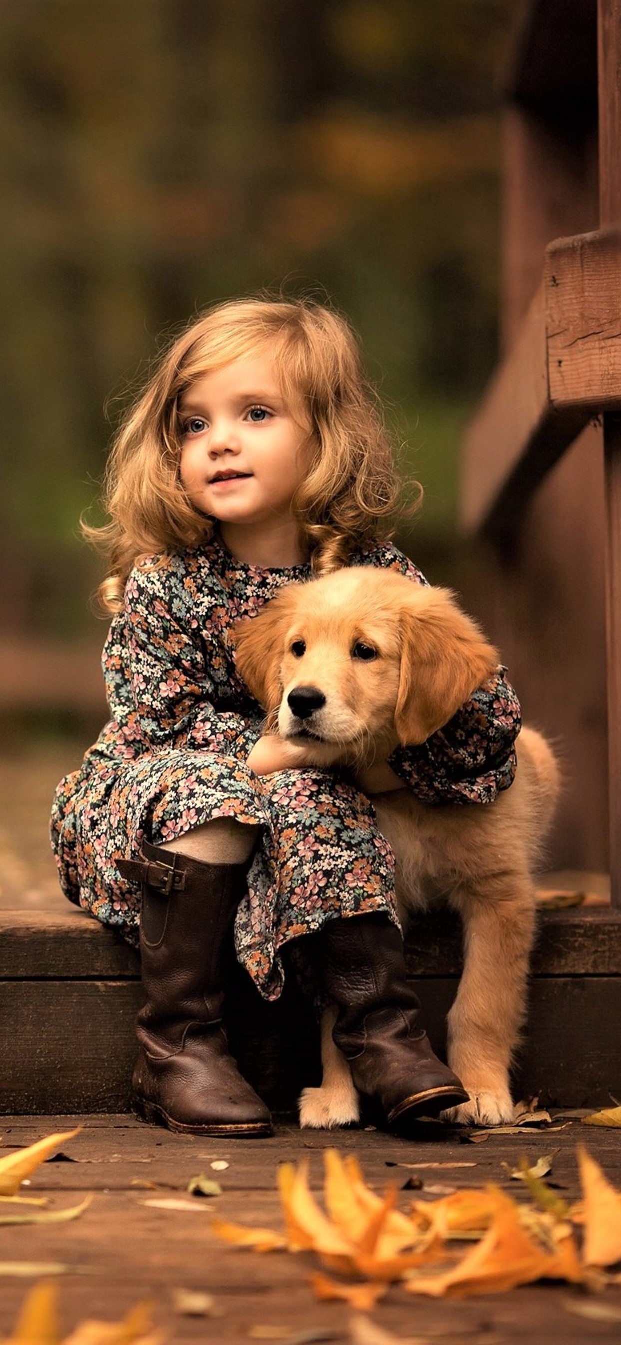 Golden Retriever Hd Wallpapers 1080p - HD Wallpaper 