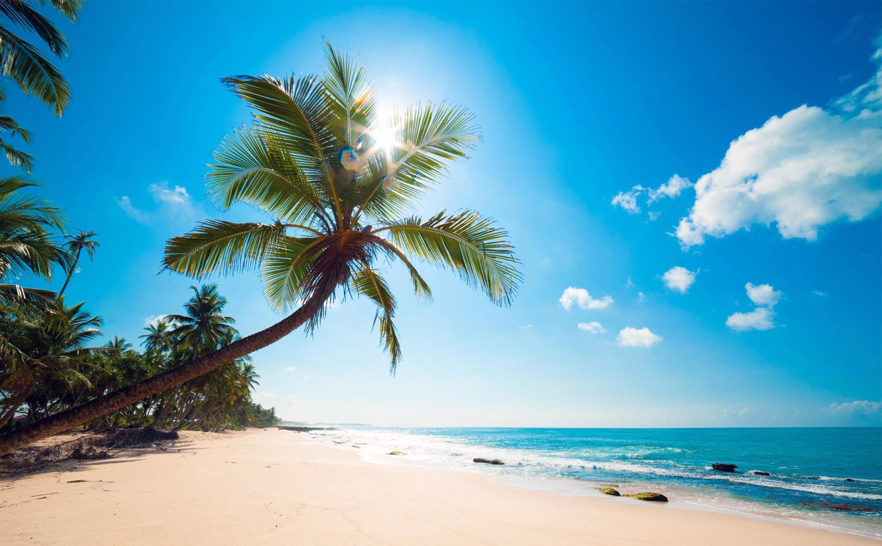 2968x1837, Sunny Beach Hd Wallpapers - Ocean And Palm Trees - HD Wallpaper 