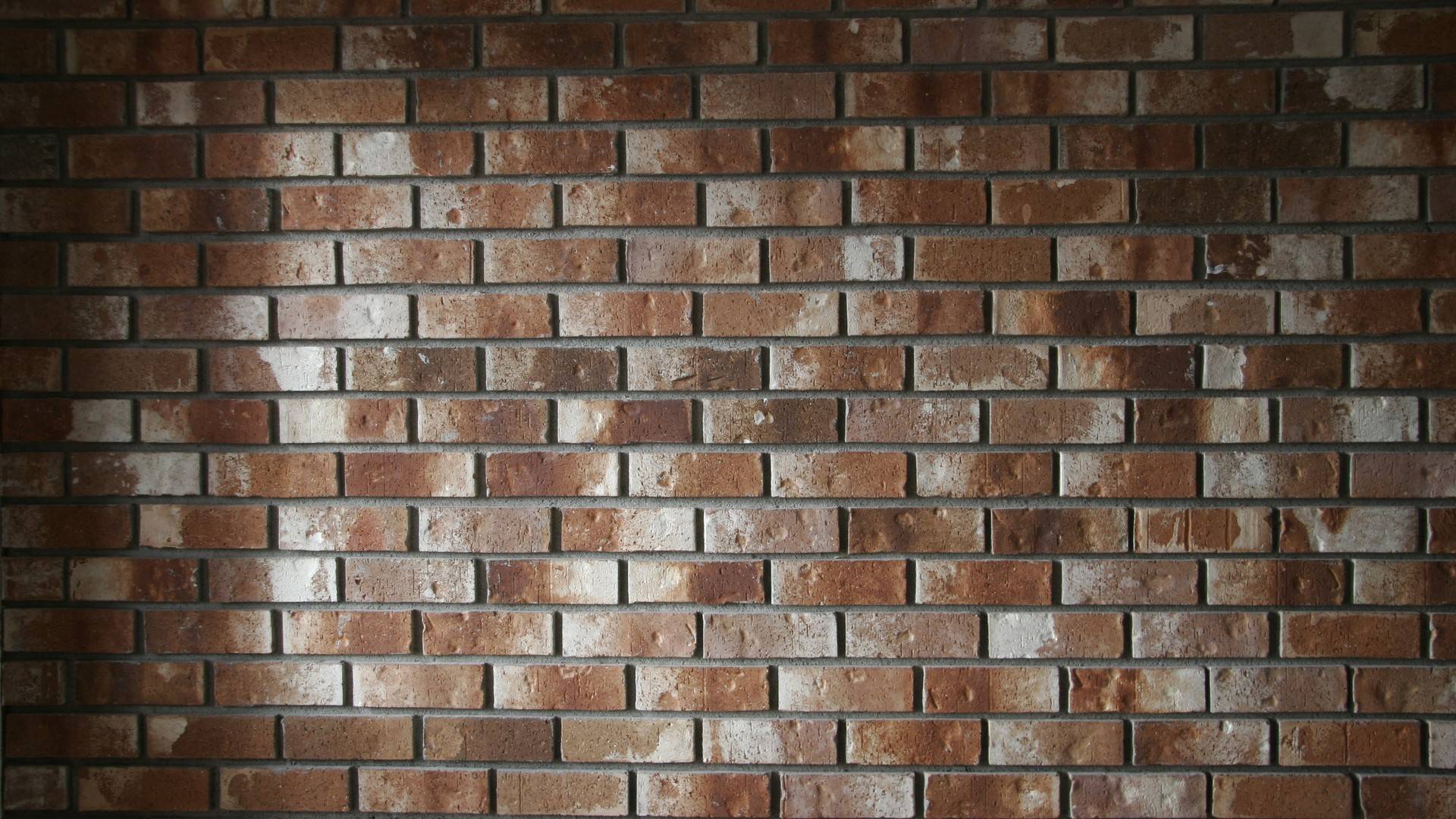 Anime Brick Wall 1920x1080 Wallpaper Teahub Io Find over 100+ of the best free brick wall images. anime brick wall 1920x1080 wallpaper