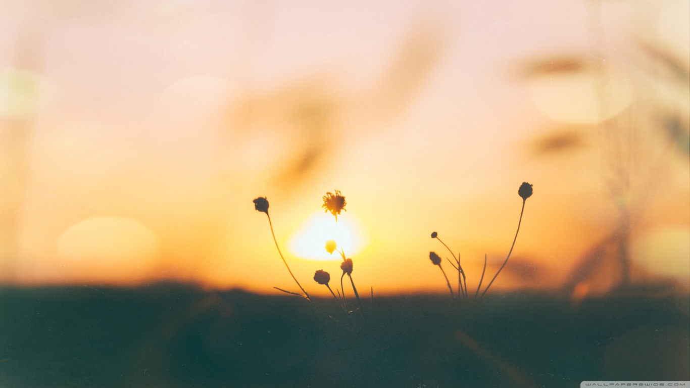 Vintage Sunrise - HD Wallpaper 