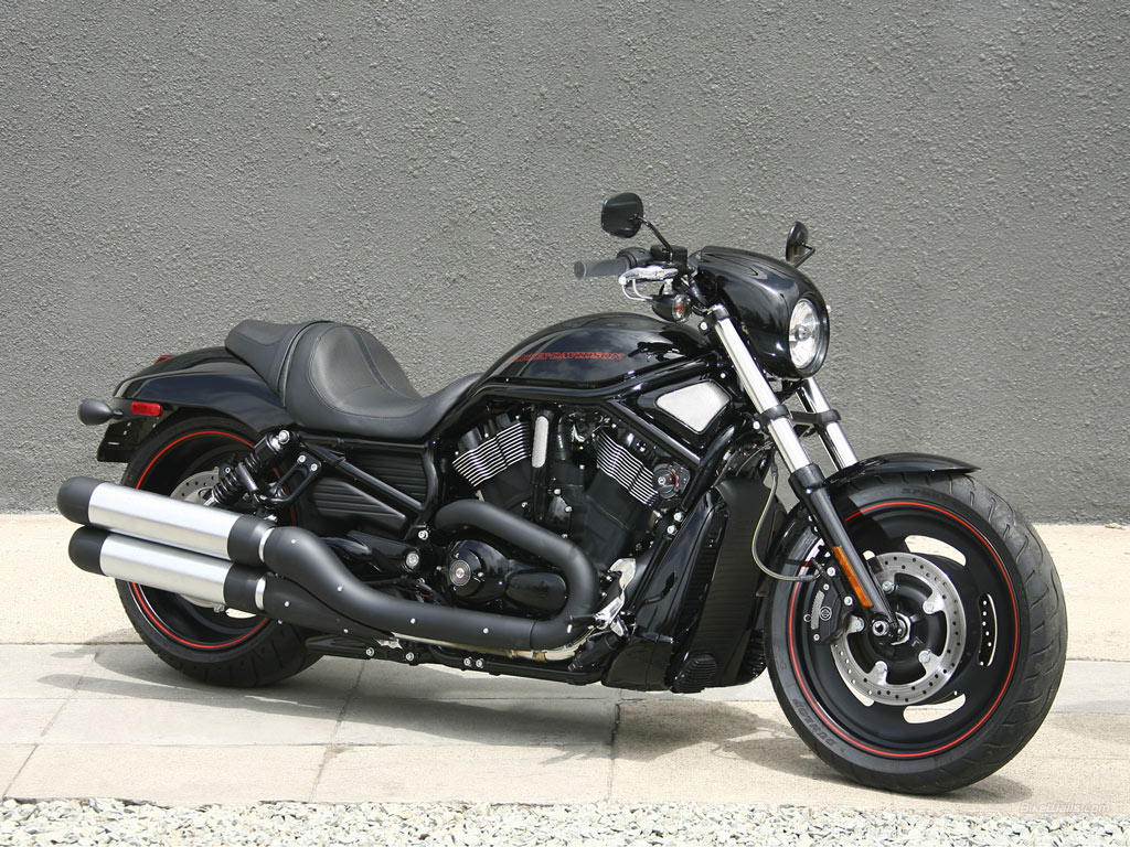 Harley Davidson Motos,motos Harley Davidson,harley - Night Rod Special 08 - HD Wallpaper 