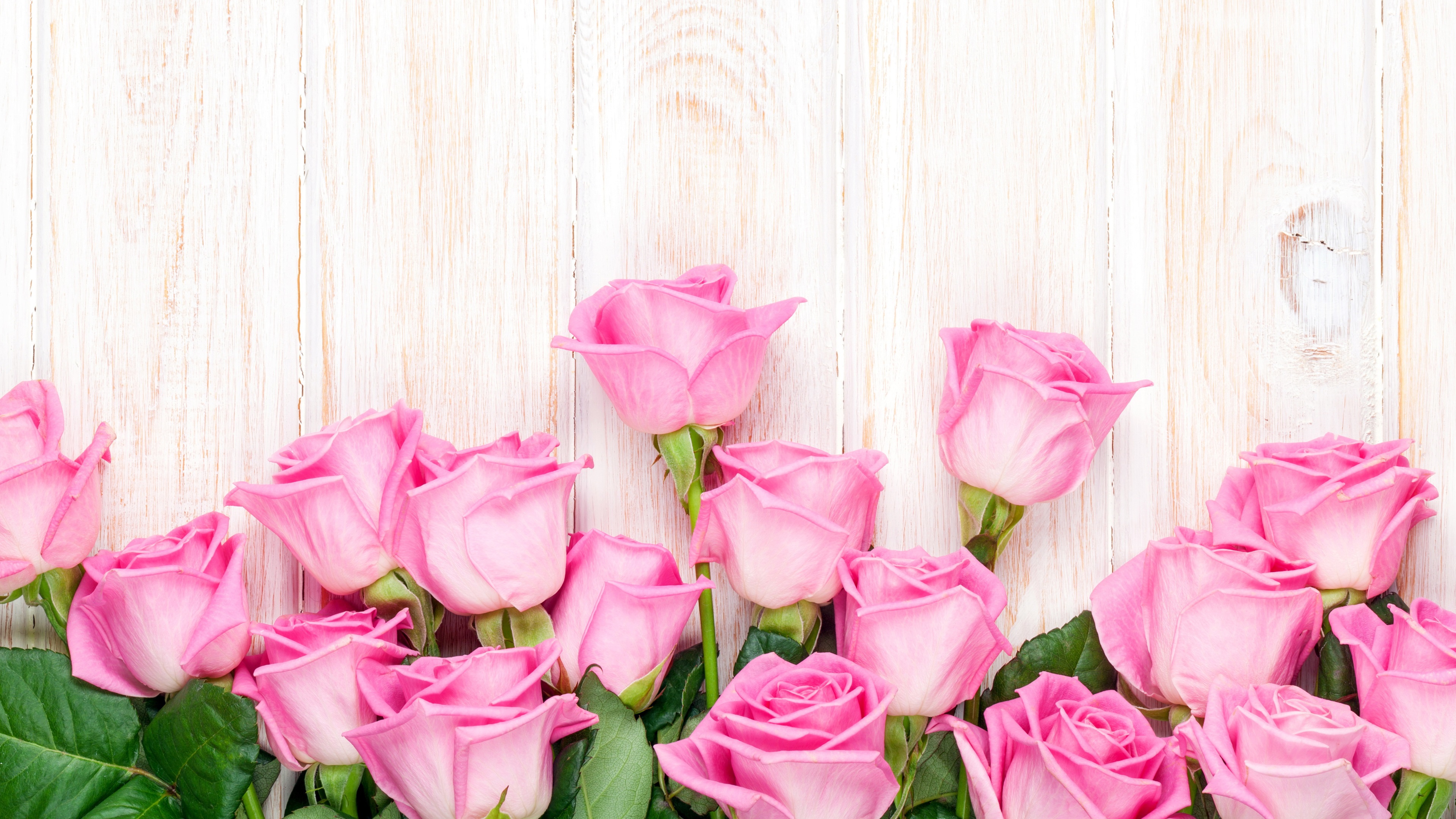 Wallpaper Pink Rose Flowers, Wood Background - Happy Birthday In Pink Color - HD Wallpaper 