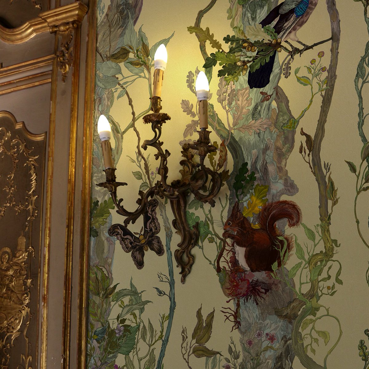 Indie - HD Wallpaper 