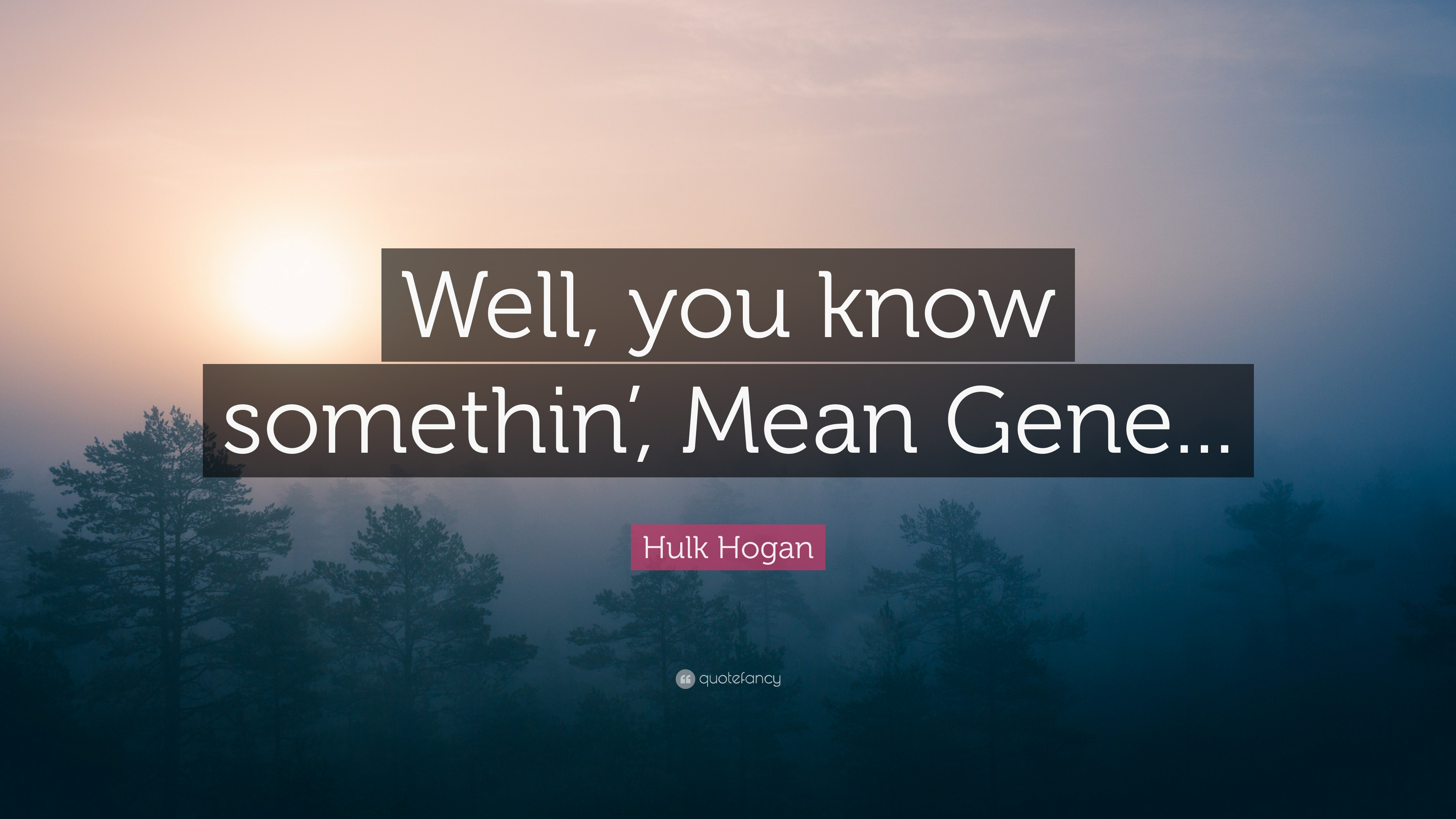 Hulk Hogan Quote - Future Will Be Better - HD Wallpaper 