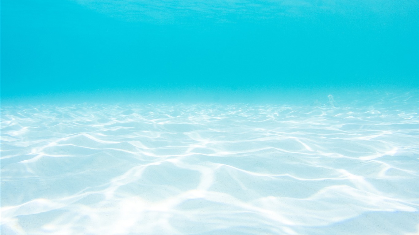 Beach Underwater-ocean Scenery Hd Wallpaper2016 - Under Water Hd - HD Wallpaper 