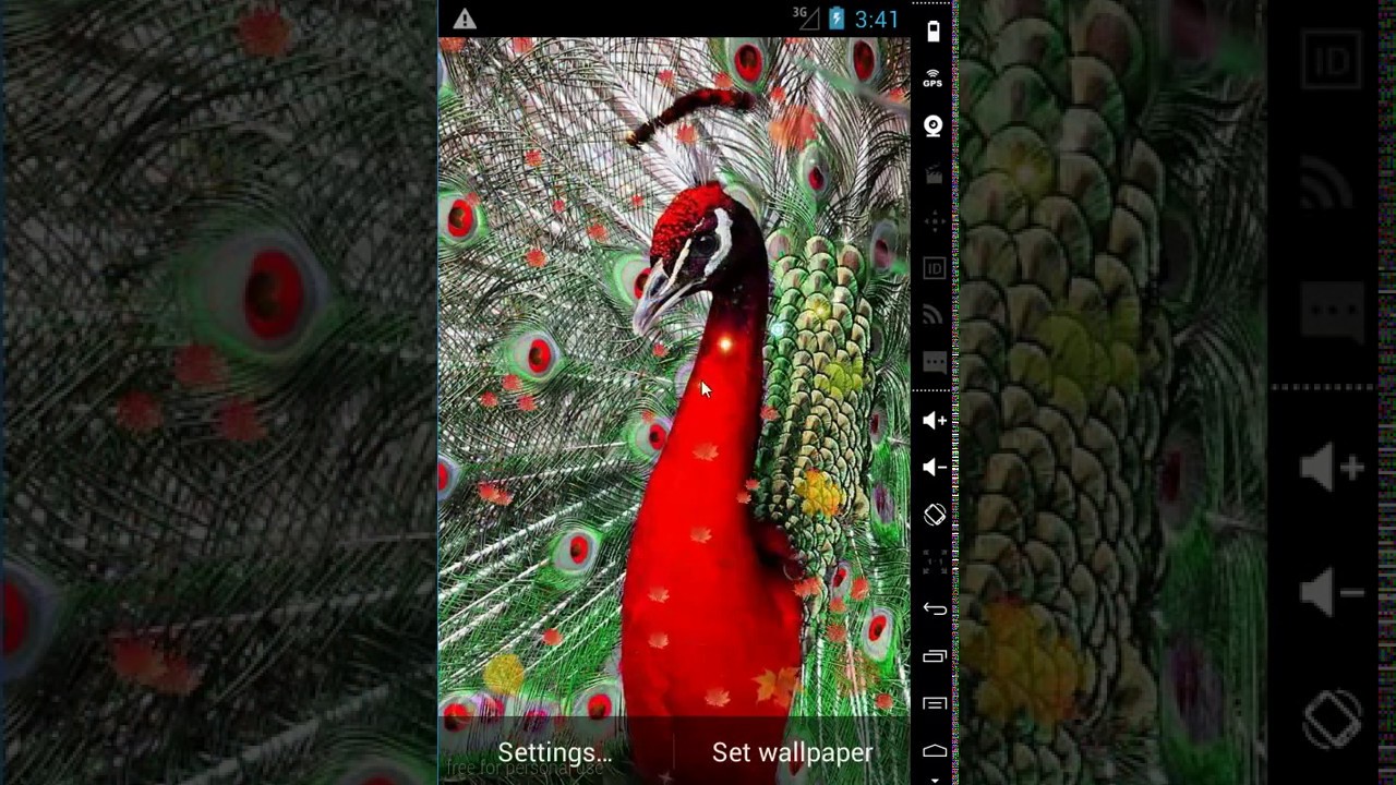 Peacock In Red Colour - HD Wallpaper 