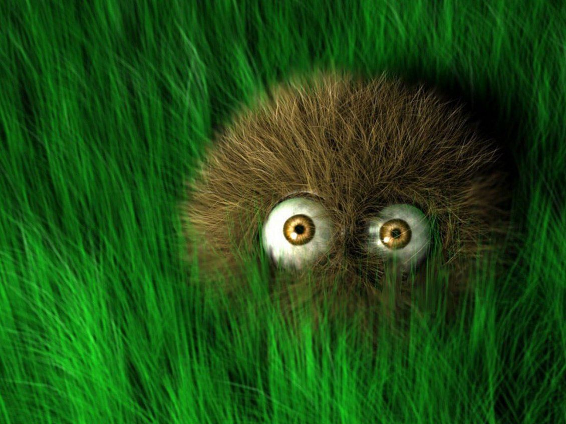 Funny Fluffy Thing In Th Green Grass Of The Garden - تصویر سه بعدی زیبا - HD Wallpaper 