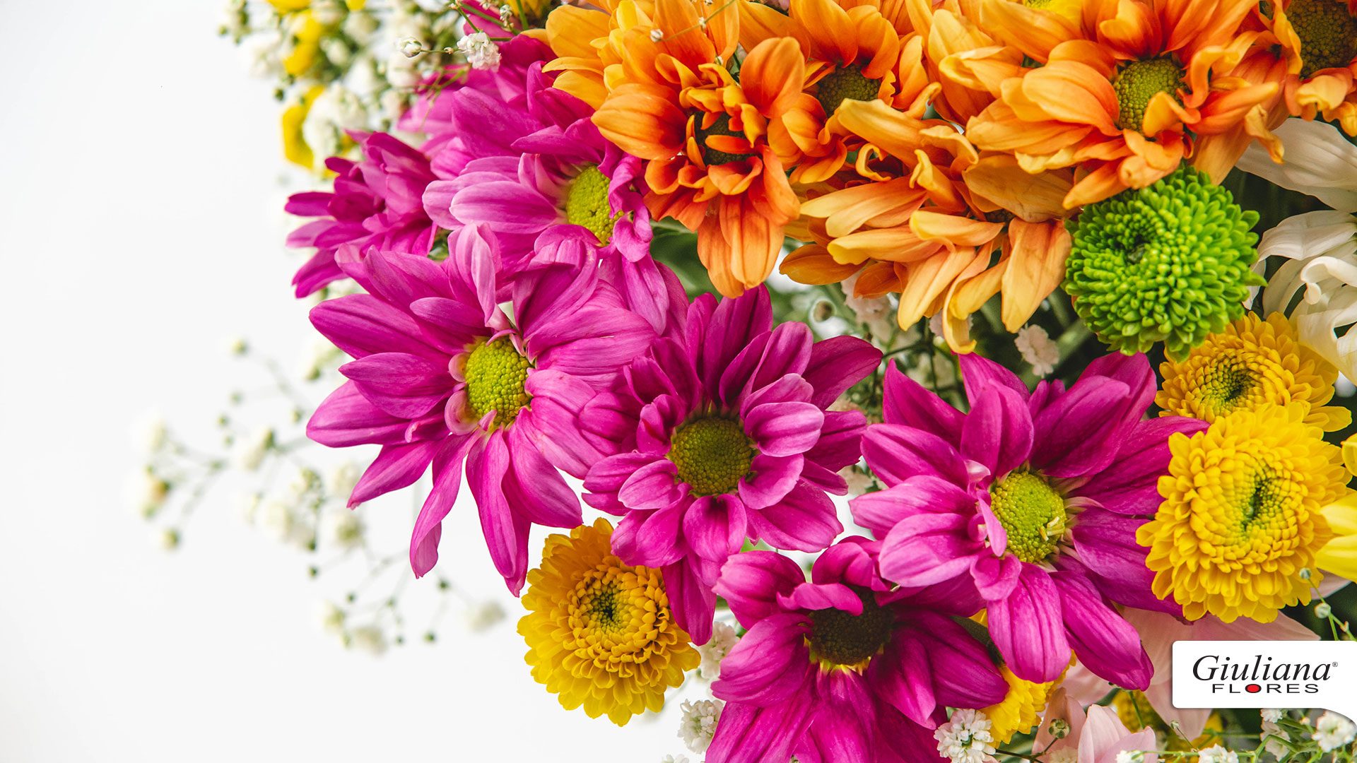Bouquet - HD Wallpaper 