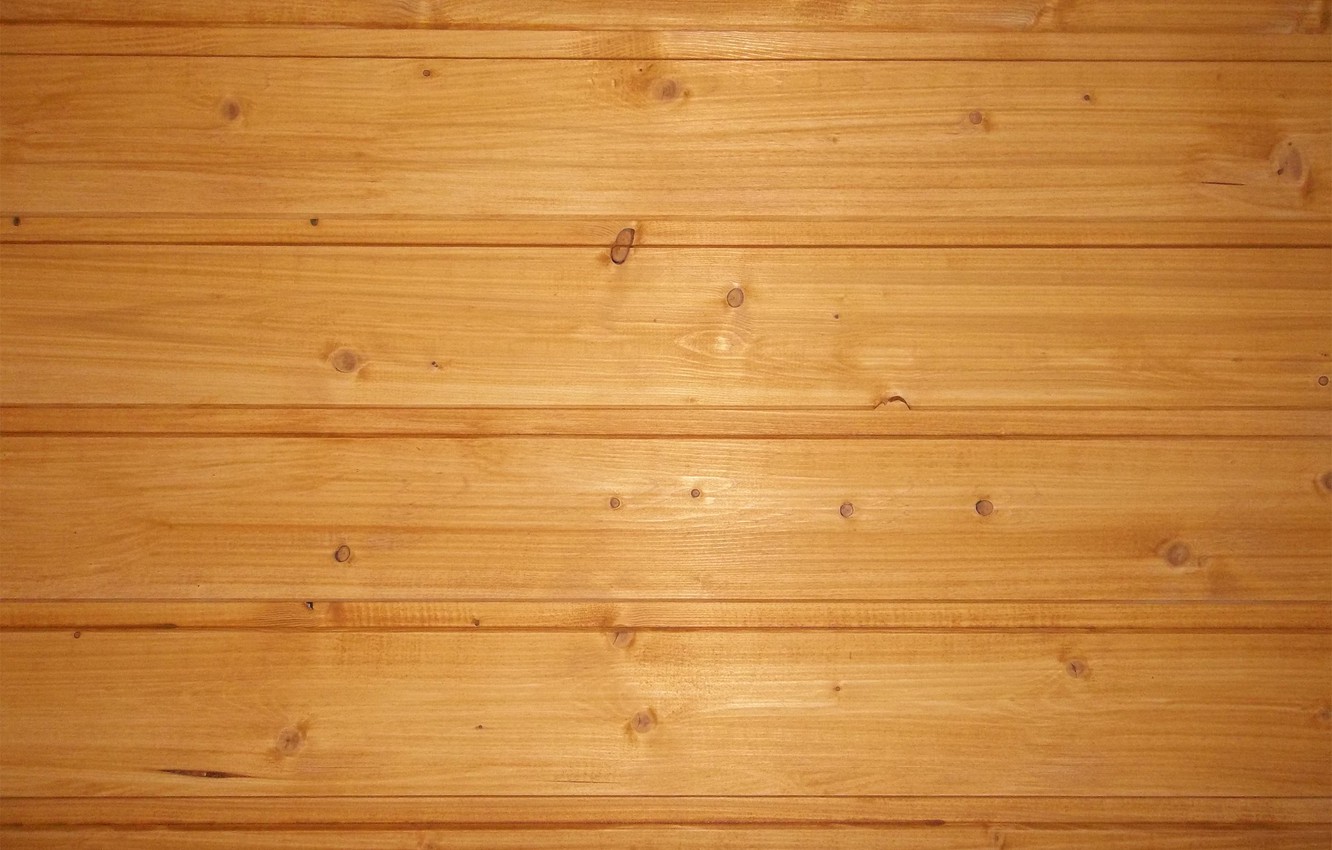 Photo Wallpaper Background, Tree, Creativity, Lining - Fondo De Pantalla Mesa - HD Wallpaper 