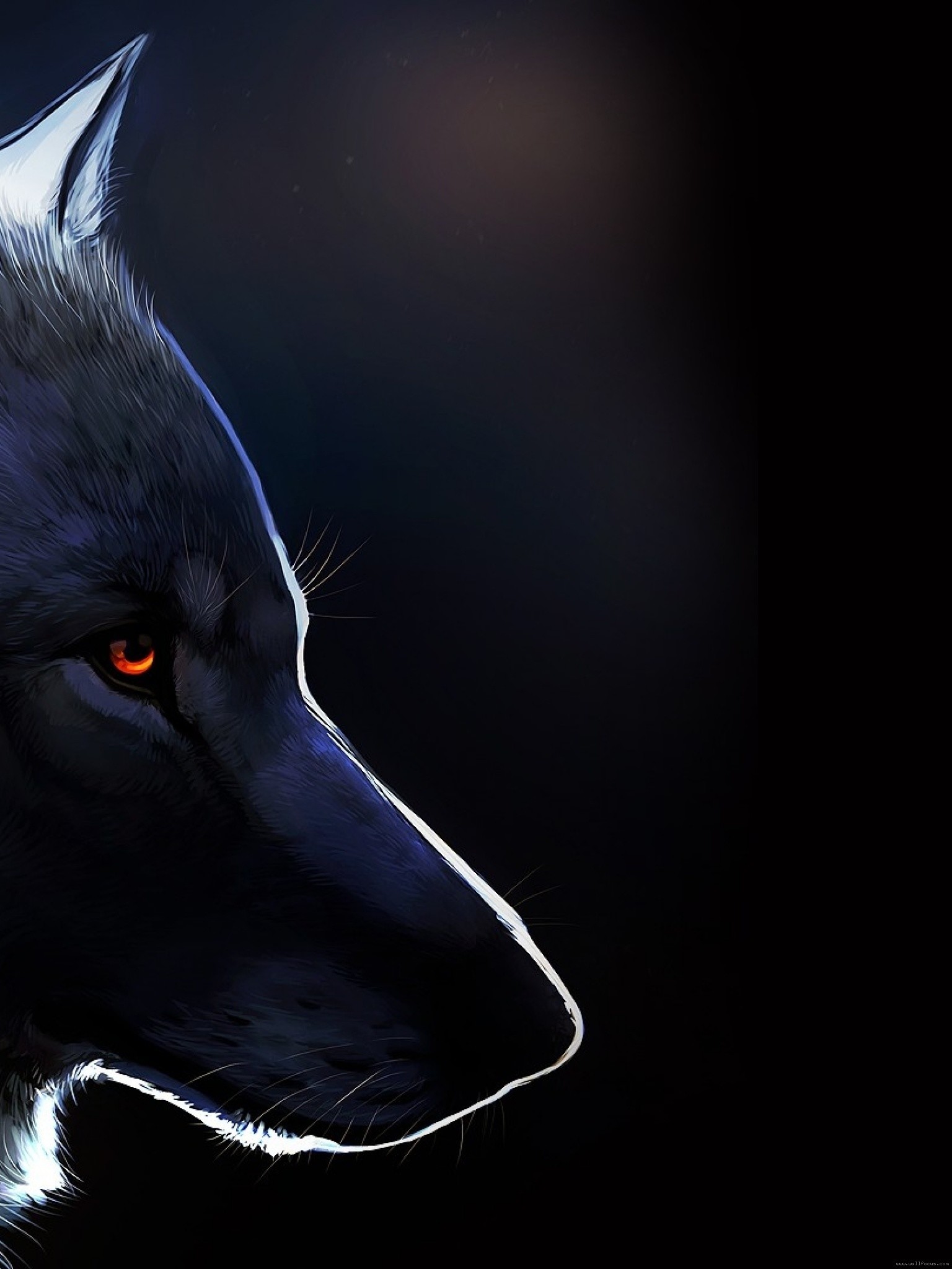 Wallfocus - Lone Wolf Wallpaper Hd - HD Wallpaper 