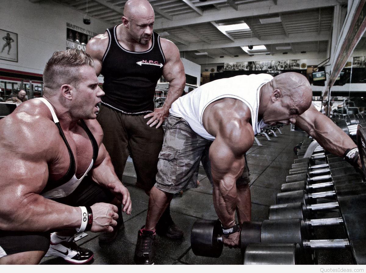 Wallpaper Bodybuilding Hd - Train At The Gym - HD Wallpaper 