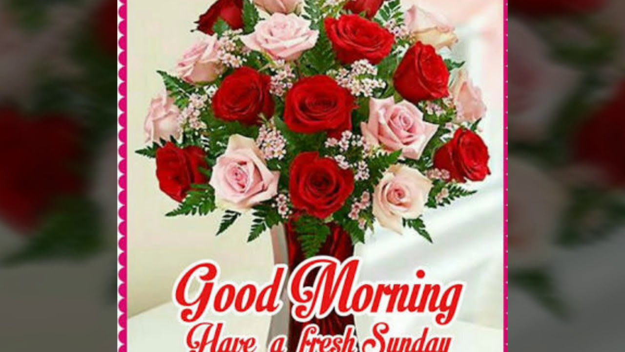 1 800 Flowers Mobile - HD Wallpaper 