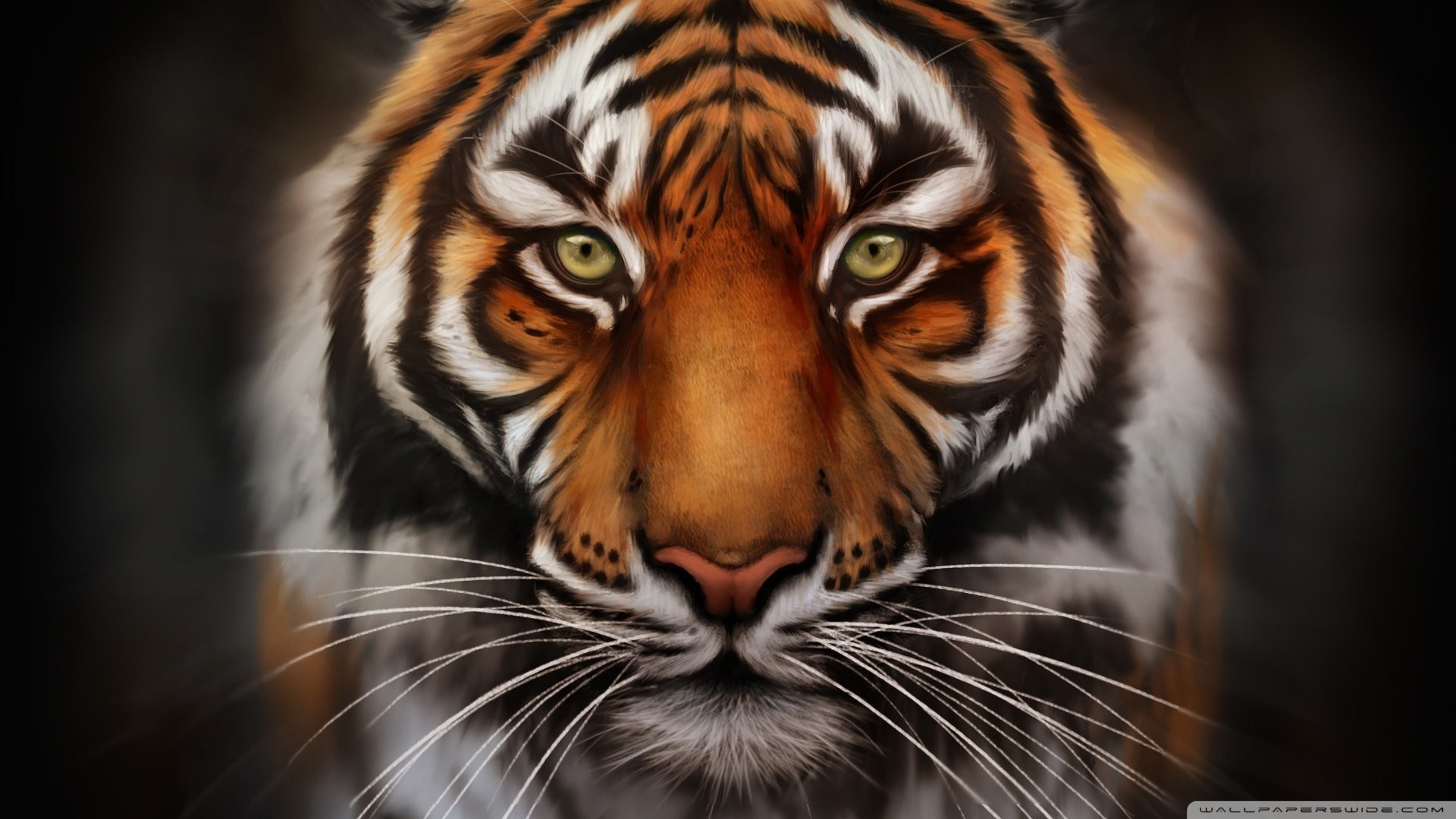 0 Tiger Wallpaper Full Hd Tiger Wallpaper Full Hd - Hd Tiger - 1920x1080 Wallpaper 0 Tiger Wallpaper Full Hd Tiger Wallpaper Full Hd - Hd Tiger - 1920x1080 Wallpaper