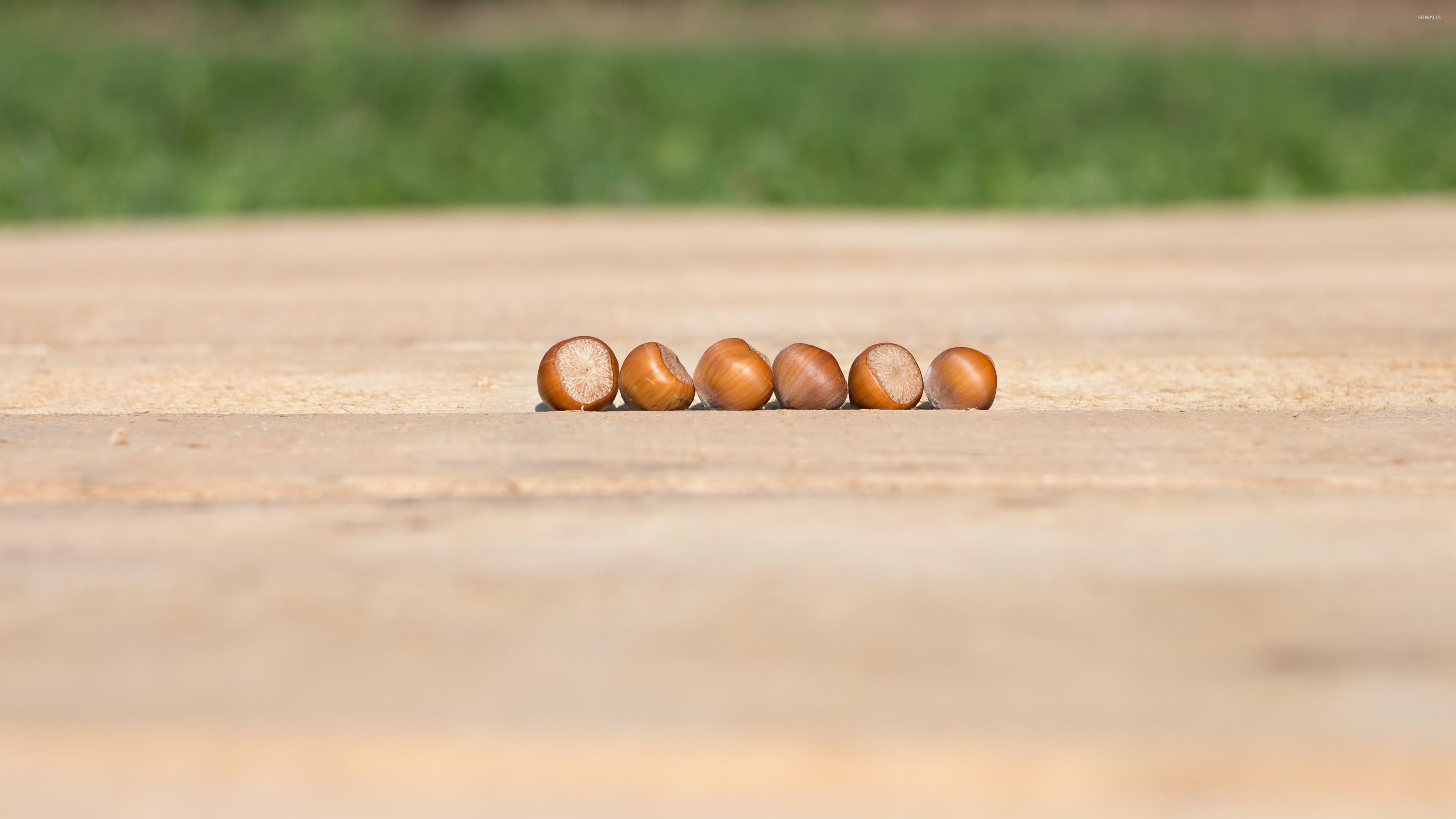 Macro Photography - HD Wallpaper 