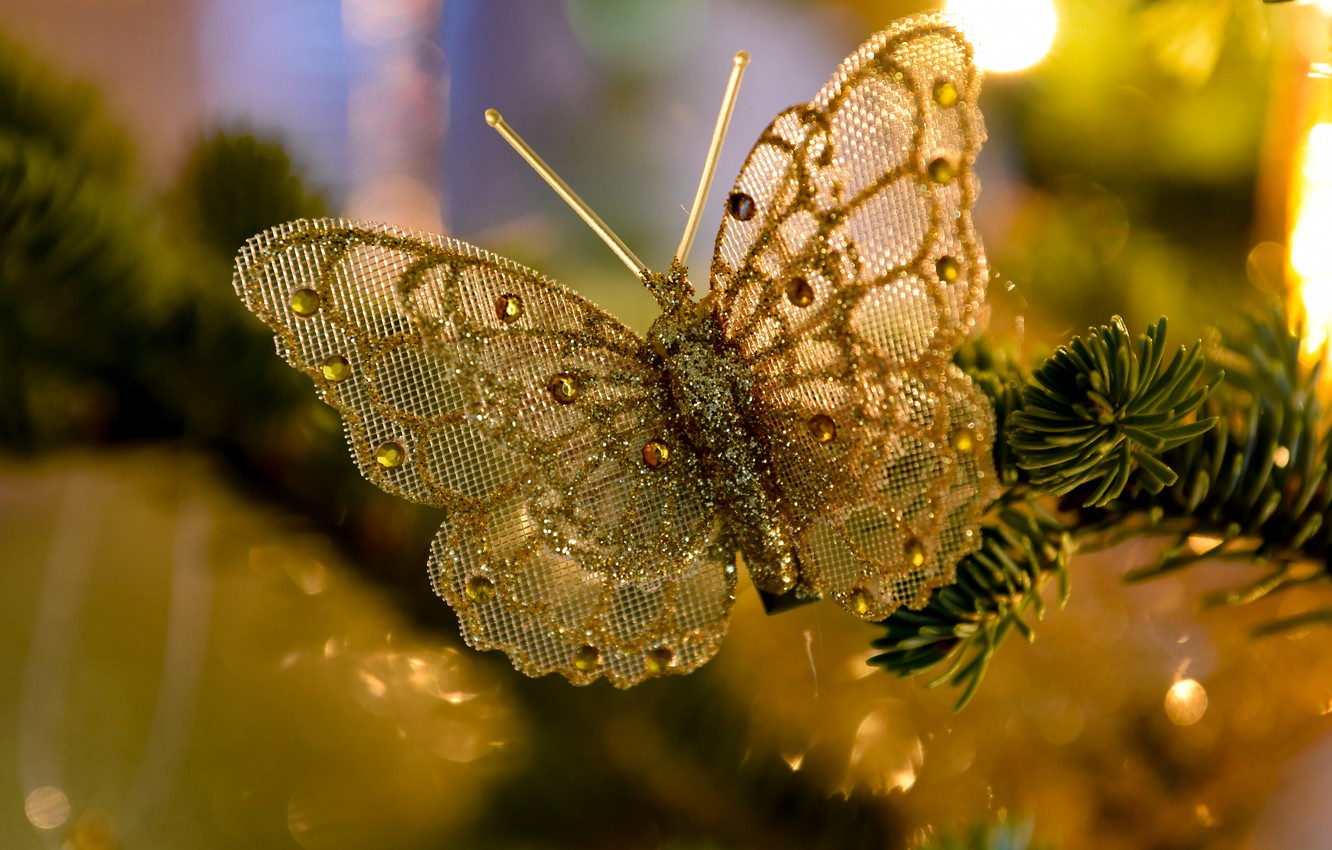 Photo Wallpaper Light, Branches, Holiday, Butterfly, - Lycaenid - HD Wallpaper 