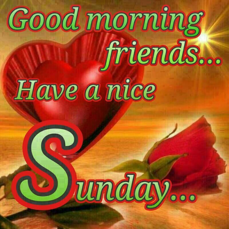 Good Morning Nice Sunday Image Pic Hwb32938 - Sunday Ka Good Morning - 800x800 Wallpaper Good Morning Nice Sunday Image Pic Hwb32938 - Sunday Ka Good Morning - 800x800 Wallpaper