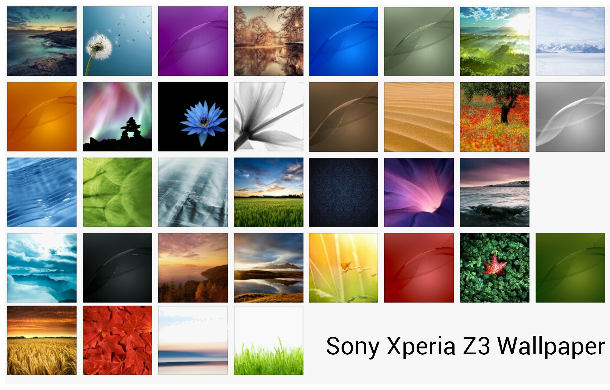 Collage - HD Wallpaper 