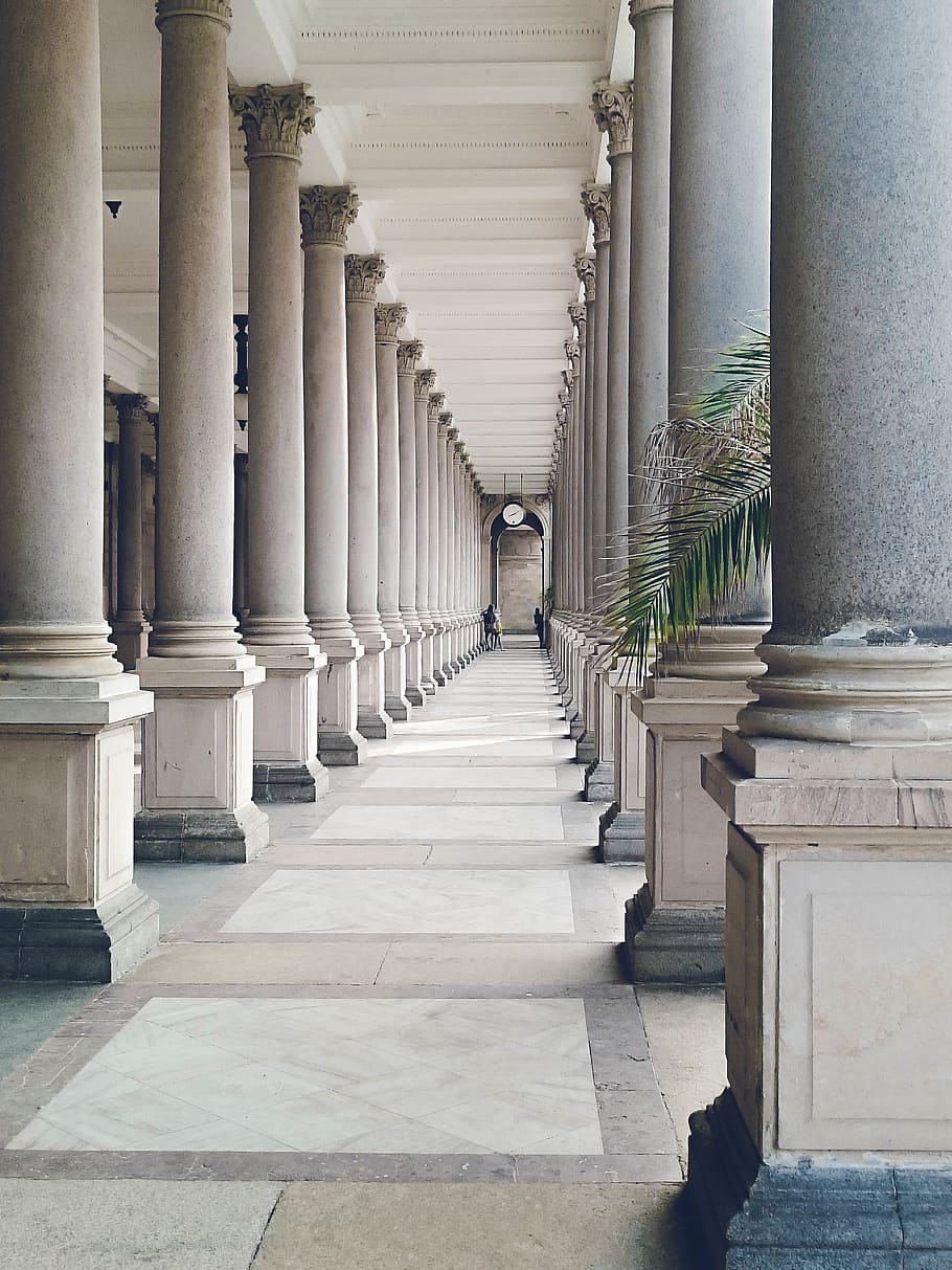 Czechia, Karlovy Vary, Palm, Xperia Z3, Architecture, - Karlovy Vary - HD Wallpaper 