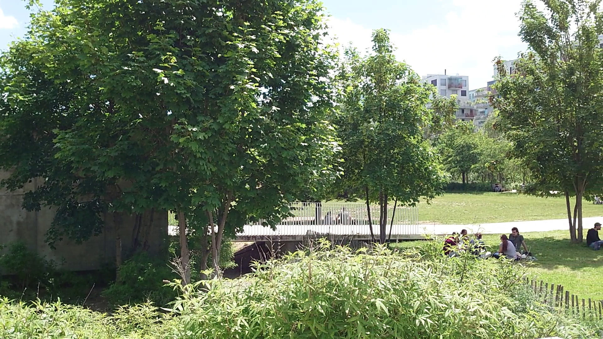 Grass - HD Wallpaper 