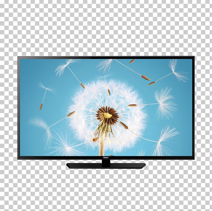 Haier Led-backlit Lcd Samsung Led Tv 4 K Black 43 Sony - HD Wallpaper 
