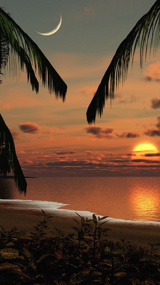 Wallpaper Coast, Morning, Sun, Dawn, Moon, Sky, Beach, - Moon Rising Sun Setting - HD Wallpaper 