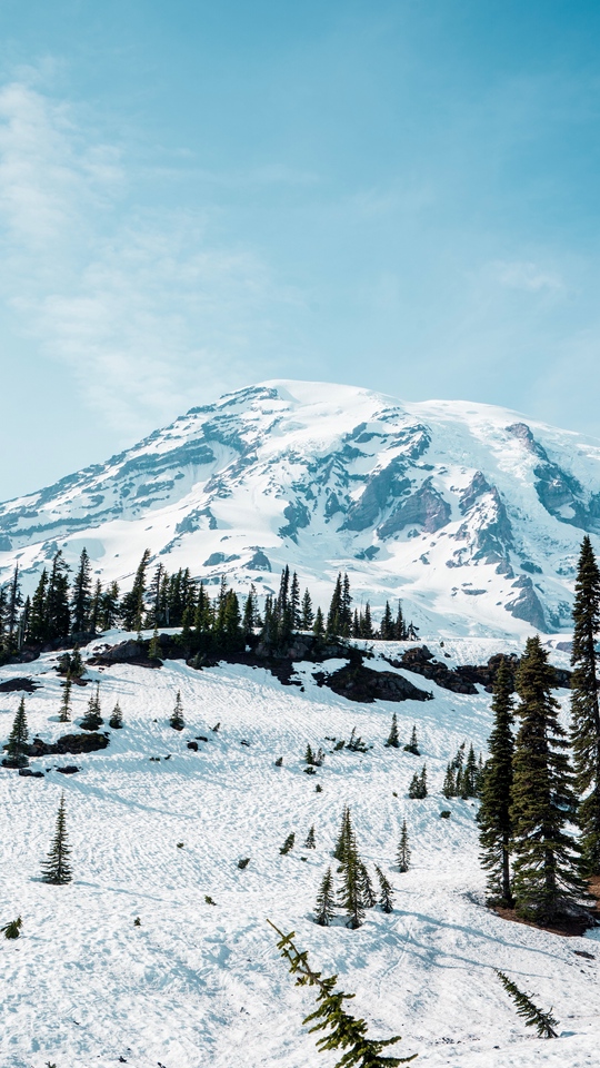 Wallpaper Mountain, Snow, Trees, Landscape, Winter - Mount Rainier National Park, Nisqually Glacier - HD Wallpaper 