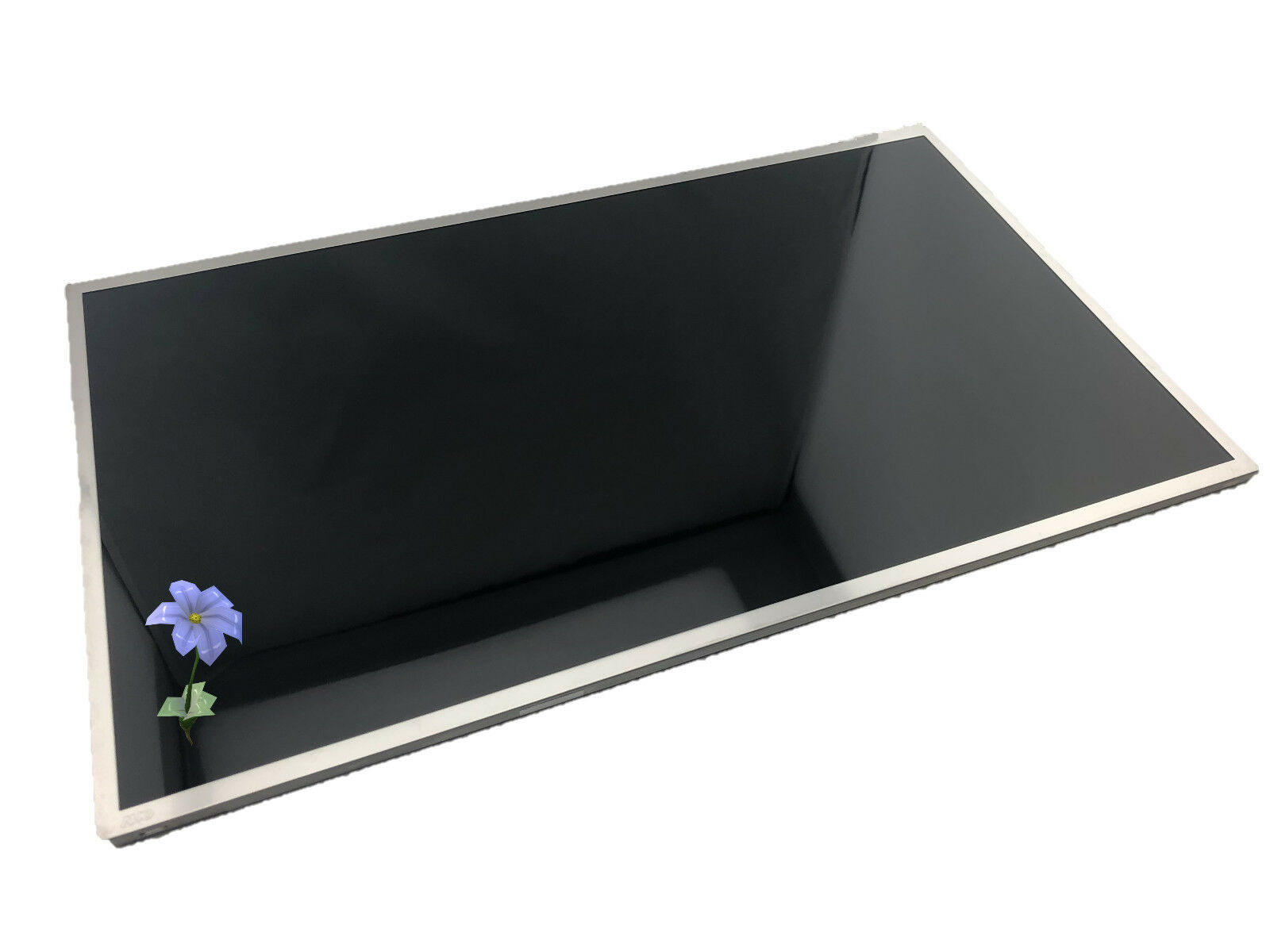 Floral Design - HD Wallpaper 