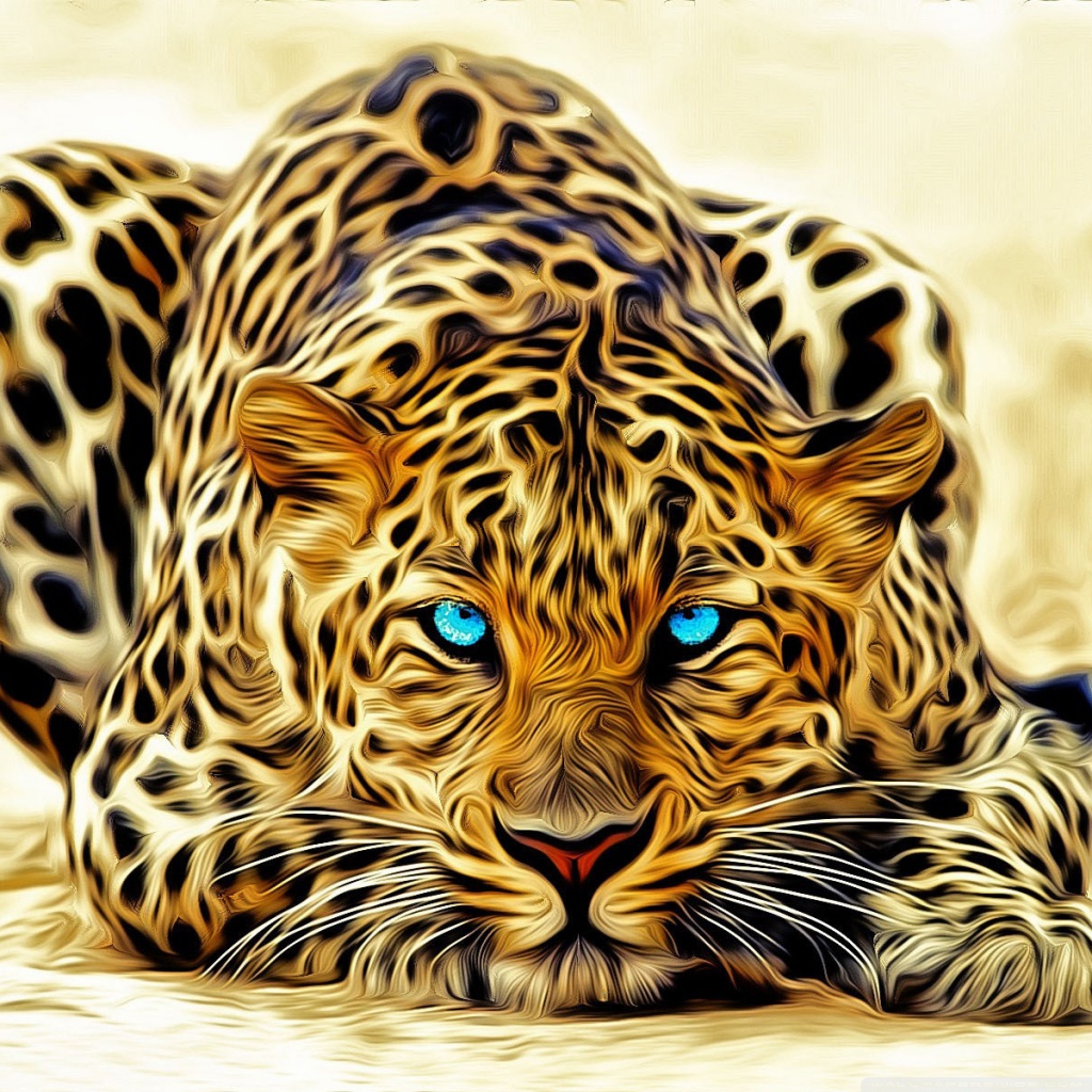 Beautiful Wallpapers For Phone - HD Wallpaper 