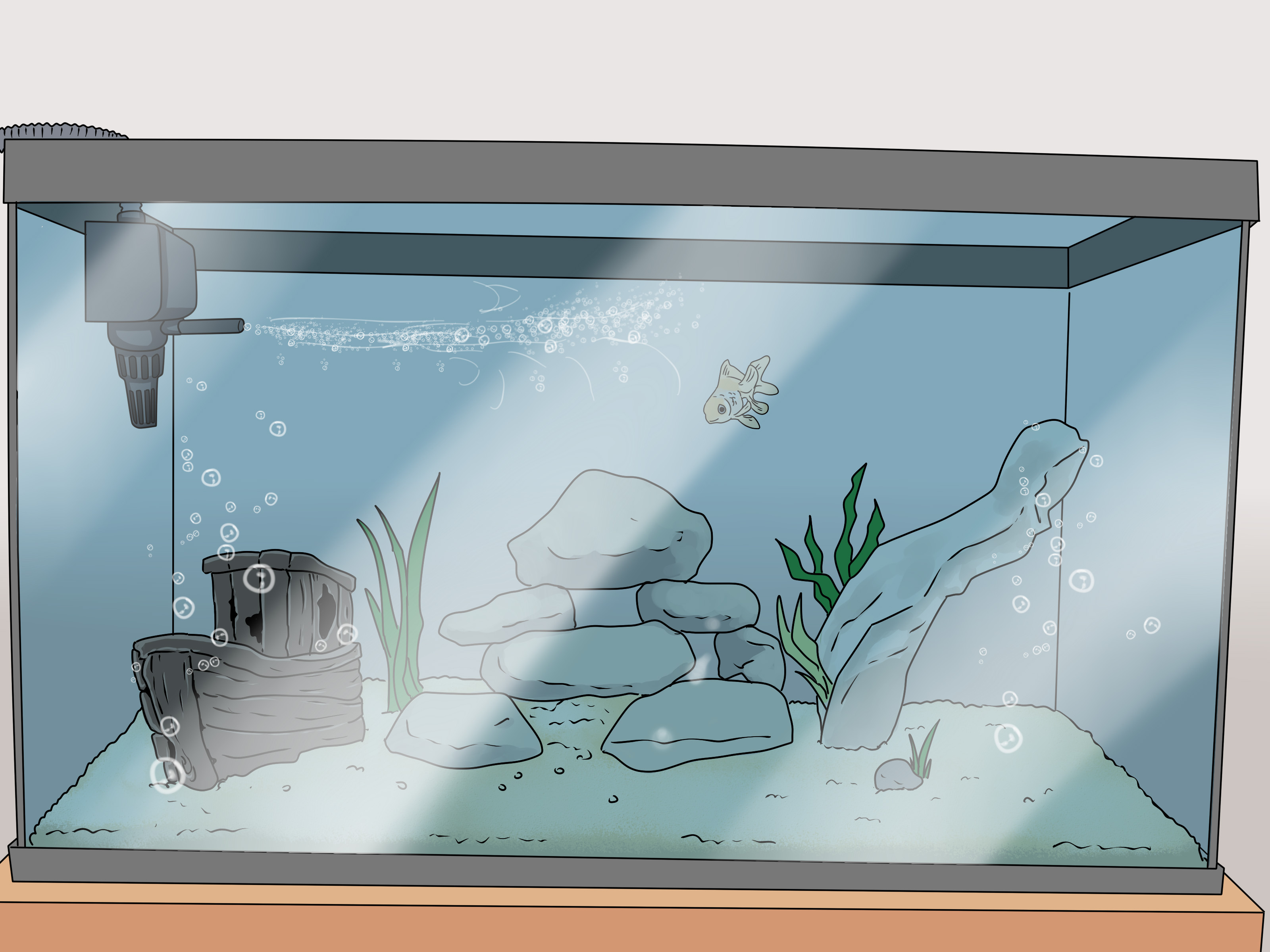 Image Titled Set Up A Healthy Goldfish Aquarium Step - Set Up Aquarium Ikan Koki - HD Wallpaper 